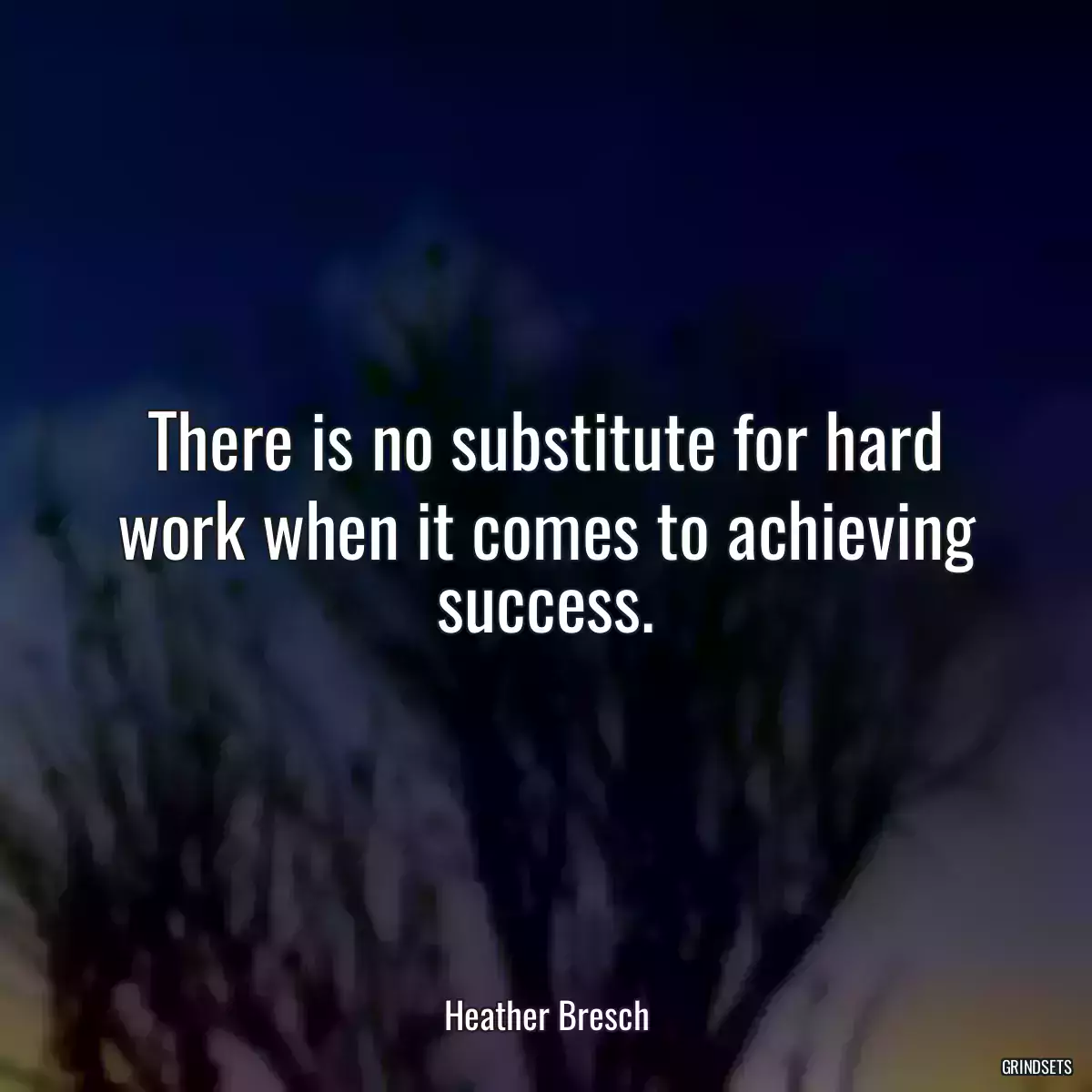 There is no substitute for hard work when it comes to achieving success.