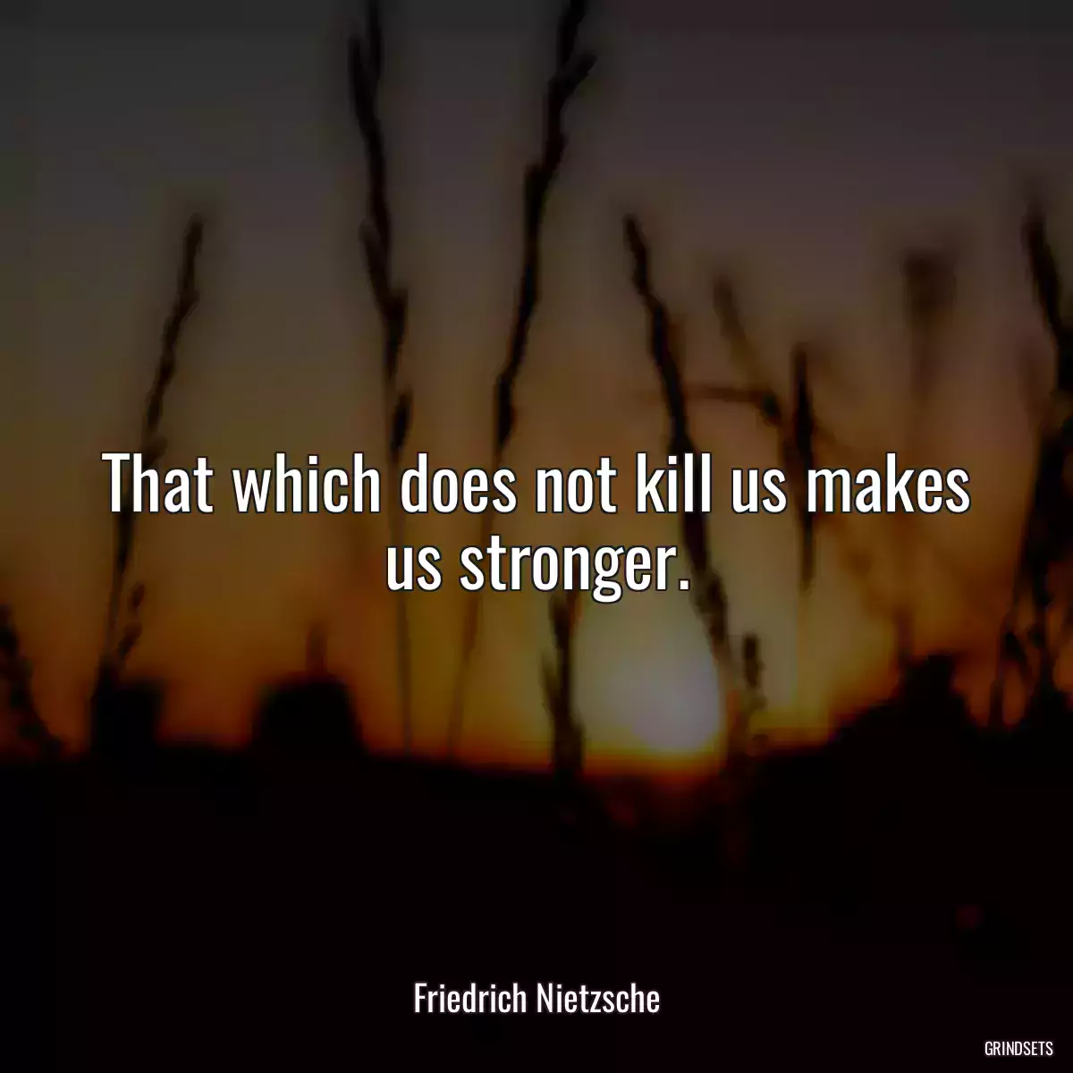 That which does not kill us makes us stronger.