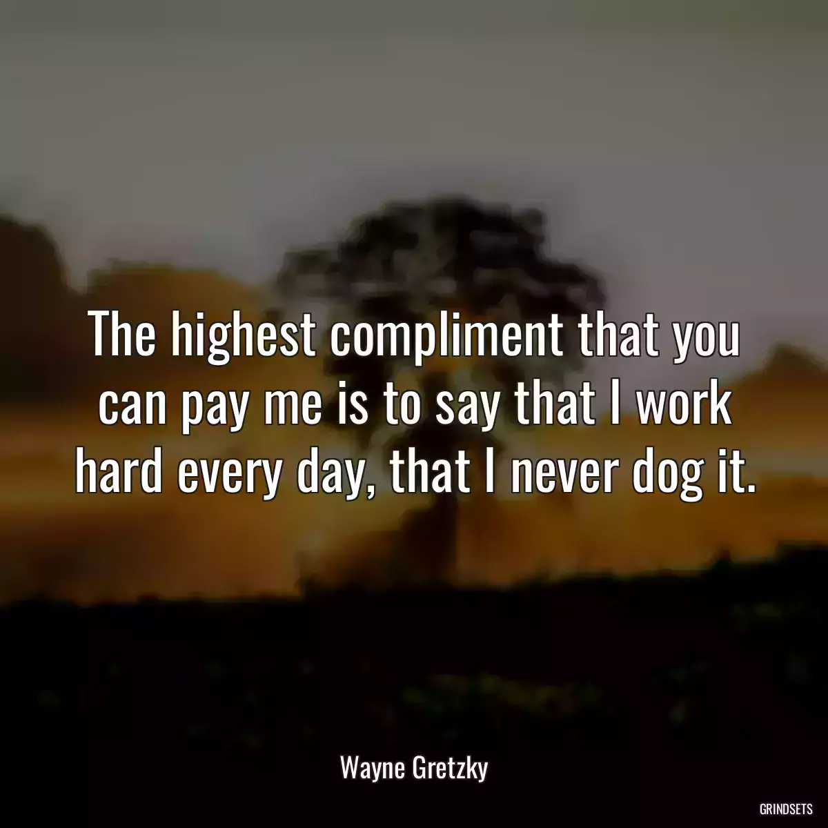 The highest compliment that you can pay me is to say that I work hard every day, that I never dog it.