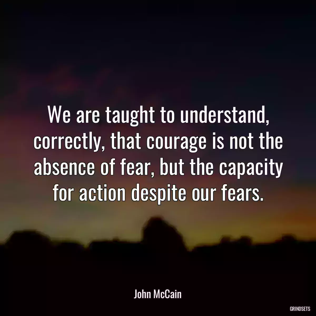 We are taught to understand, correctly, that courage is not the absence of fear, but the capacity for action despite our fears.