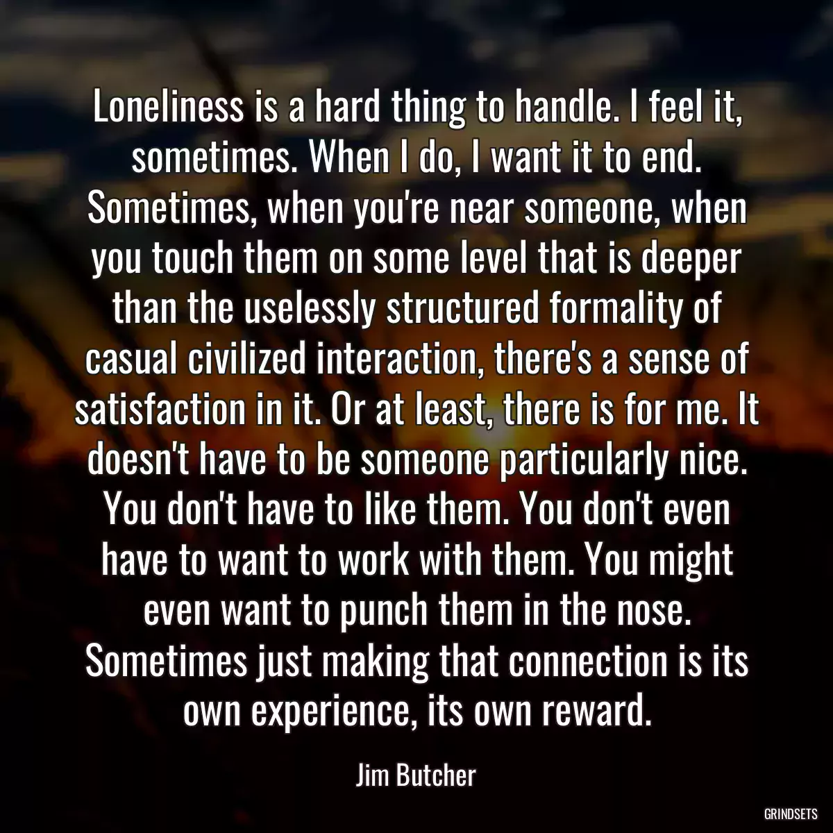 Loneliness is a hard thing to handle. I feel it, sometimes. When I do, I want it to end. Sometimes, when you\'re near someone, when you touch them on some level that is deeper than the uselessly structured formality of casual civilized interaction, there\'s a sense of satisfaction in it. Or at least, there is for me. It doesn\'t have to be someone particularly nice. You don\'t have to like them. You don\'t even have to want to work with them. You might even want to punch them in the nose. Sometimes just making that connection is its own experience, its own reward.