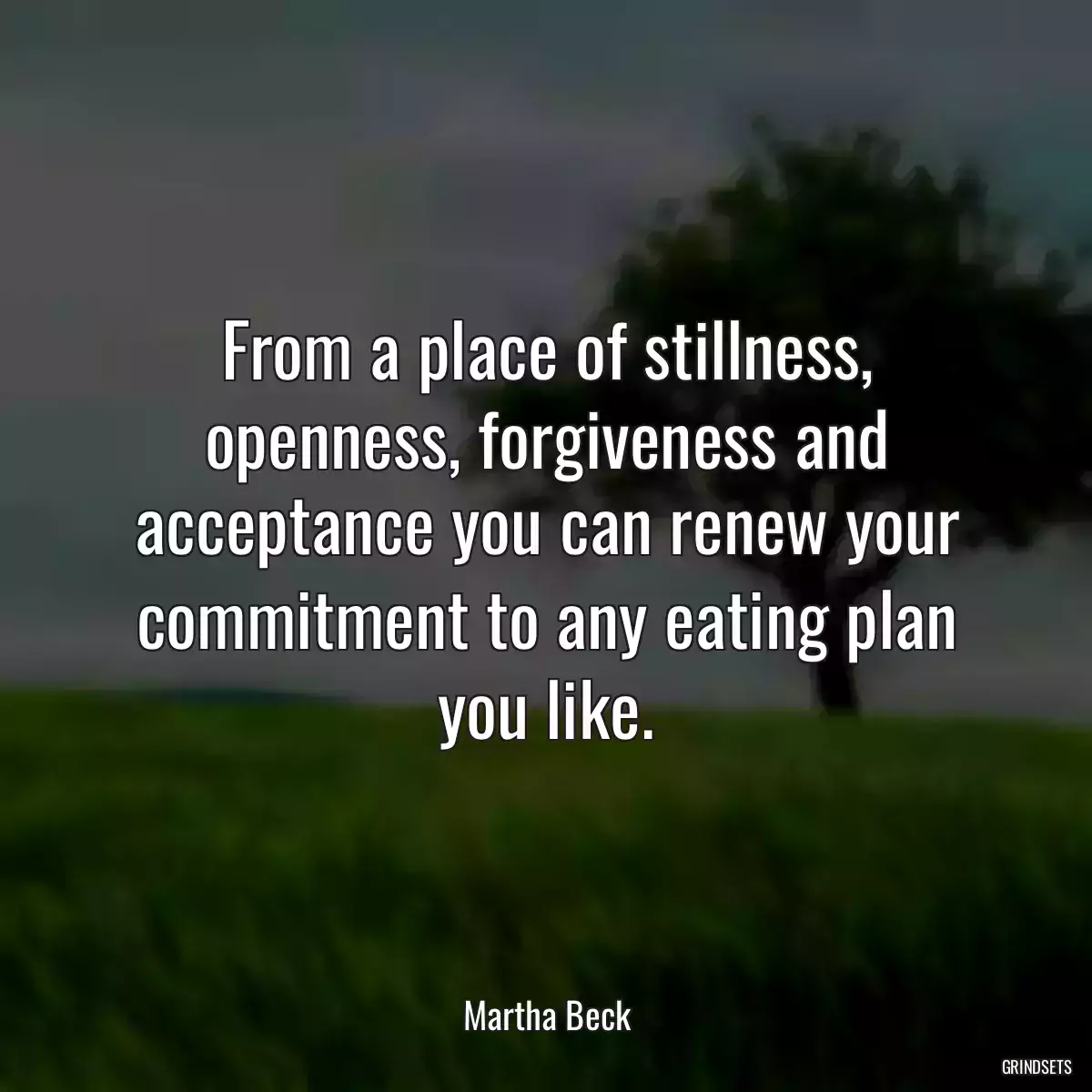 From a place of stillness, openness, forgiveness and acceptance you can renew your commitment to any eating plan you like.