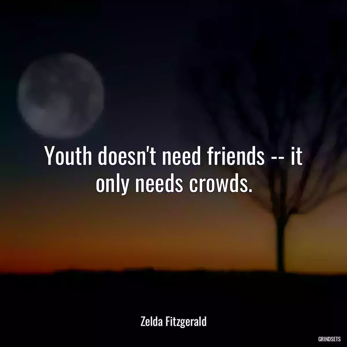 Youth doesn\'t need friends -- it only needs crowds.