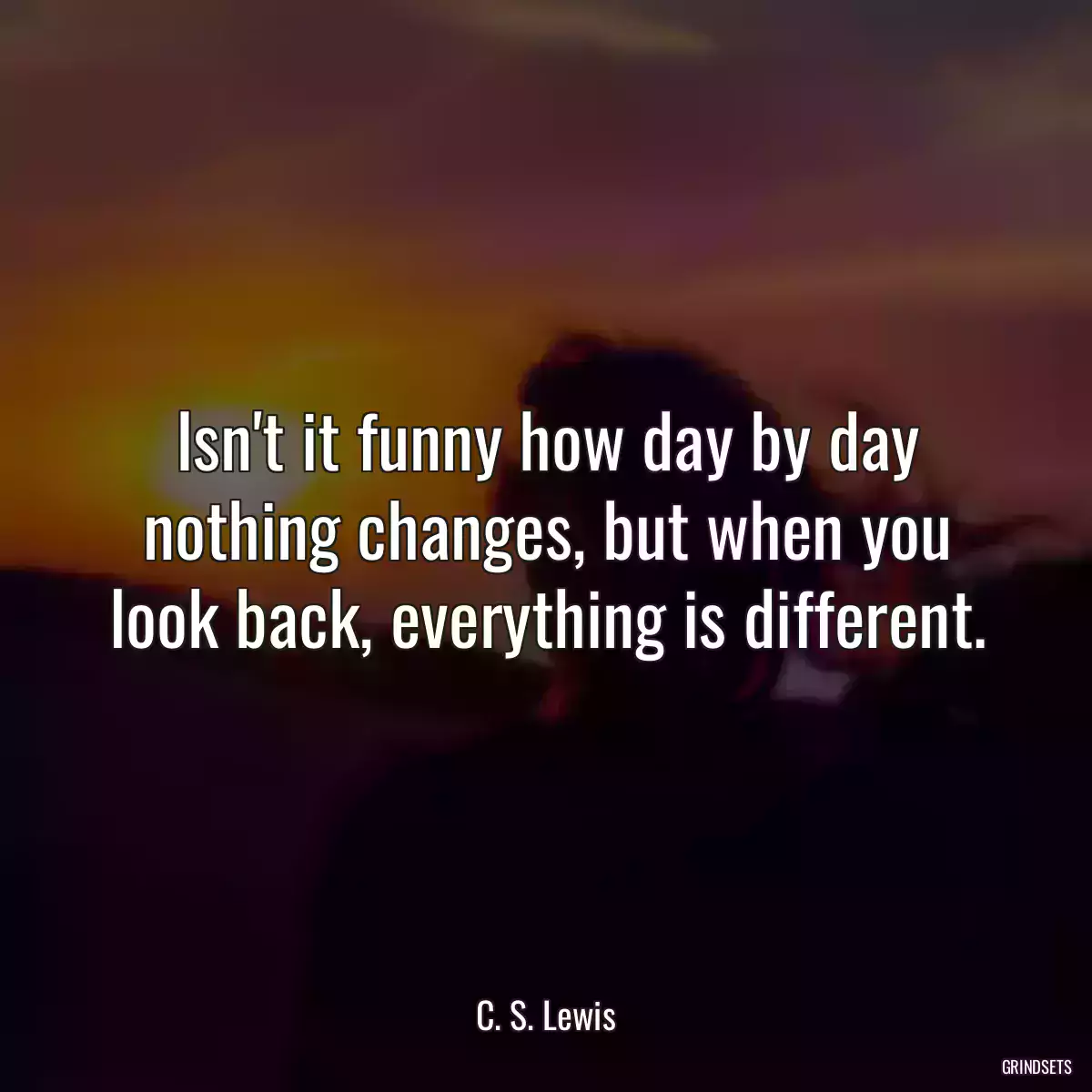 Isn\'t it funny how day by day nothing changes, but when you look back, everything is different.