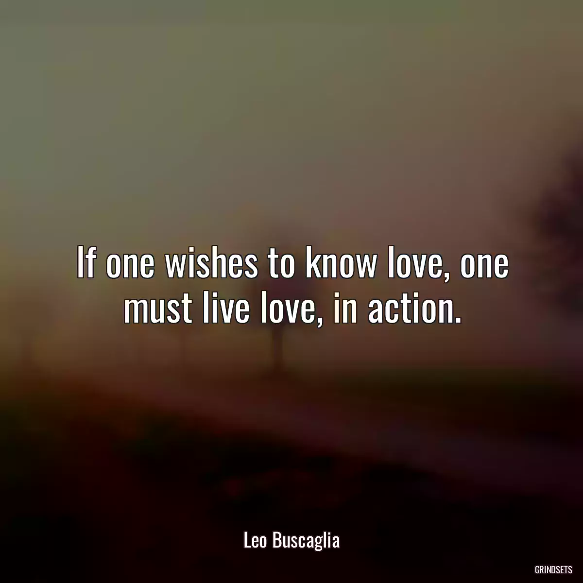 If one wishes to know love, one must live love, in action.