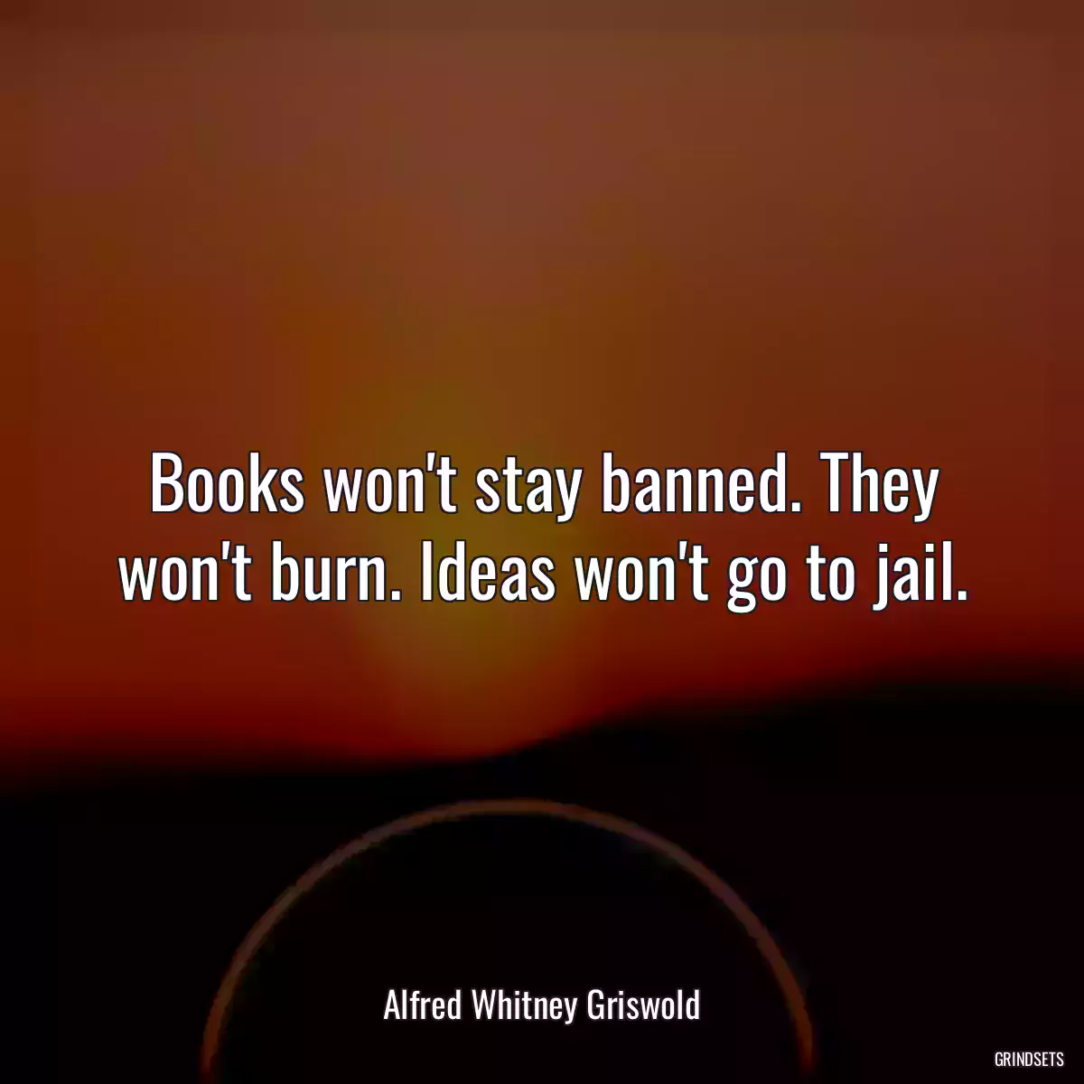 Books won\'t stay banned. They won\'t burn. Ideas won\'t go to jail.