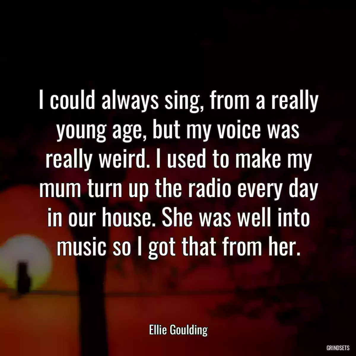 I could always sing, from a really young age, but my voice was really weird. I used to make my mum turn up the radio every day in our house. She was well into music so I got that from her.