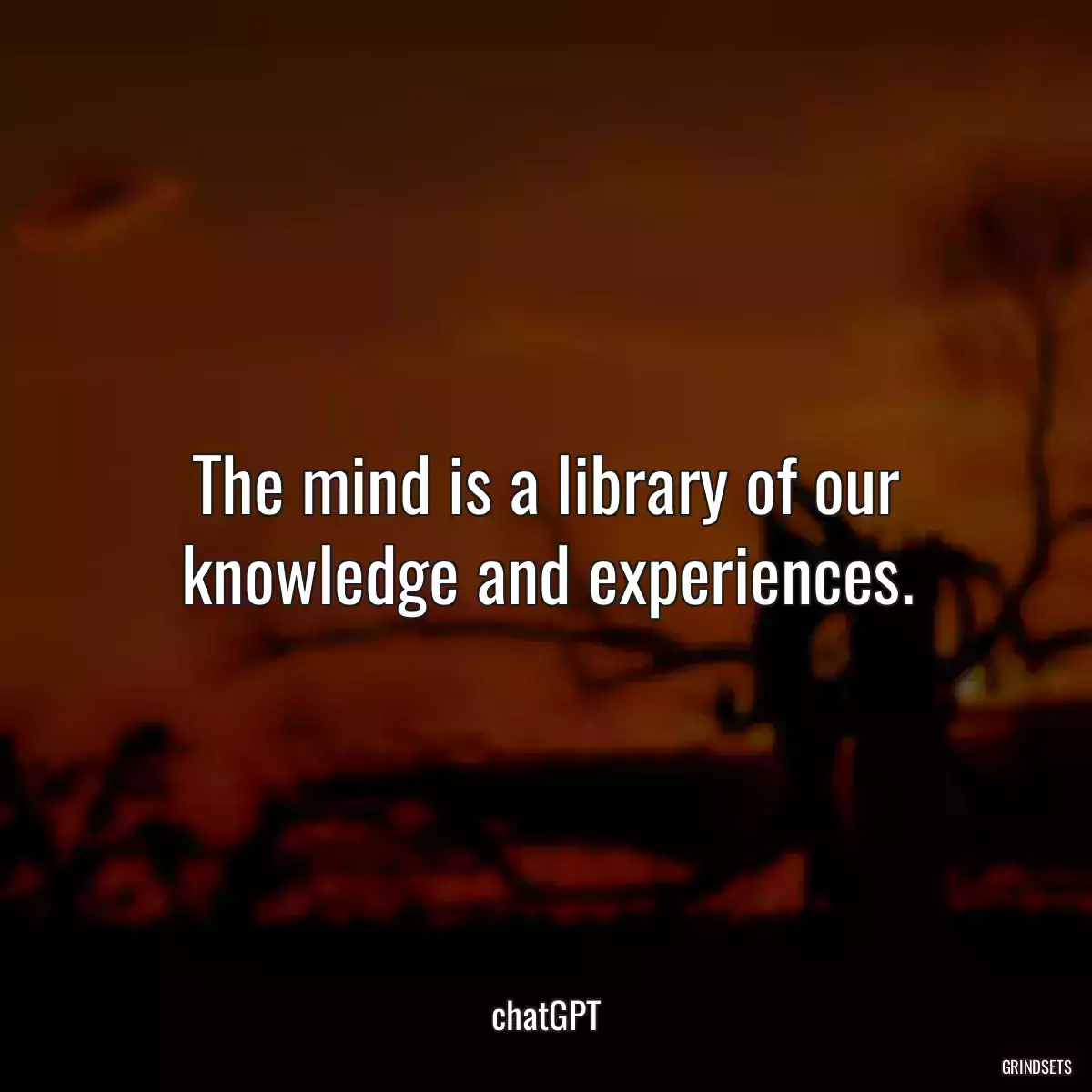 The mind is a library of our knowledge and experiences.