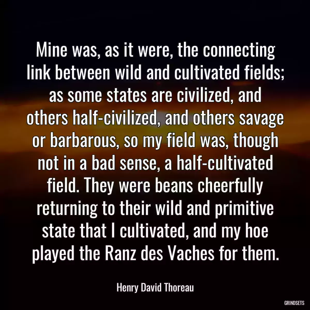 Mine was, as it were, the connecting link between wild and cultivated fields; as some states are civilized, and others half-civilized, and others savage or barbarous, so my field was, though not in a bad sense, a half-cultivated field. They were beans cheerfully returning to their wild and primitive state that I cultivated, and my hoe played the Ranz des Vaches for them.