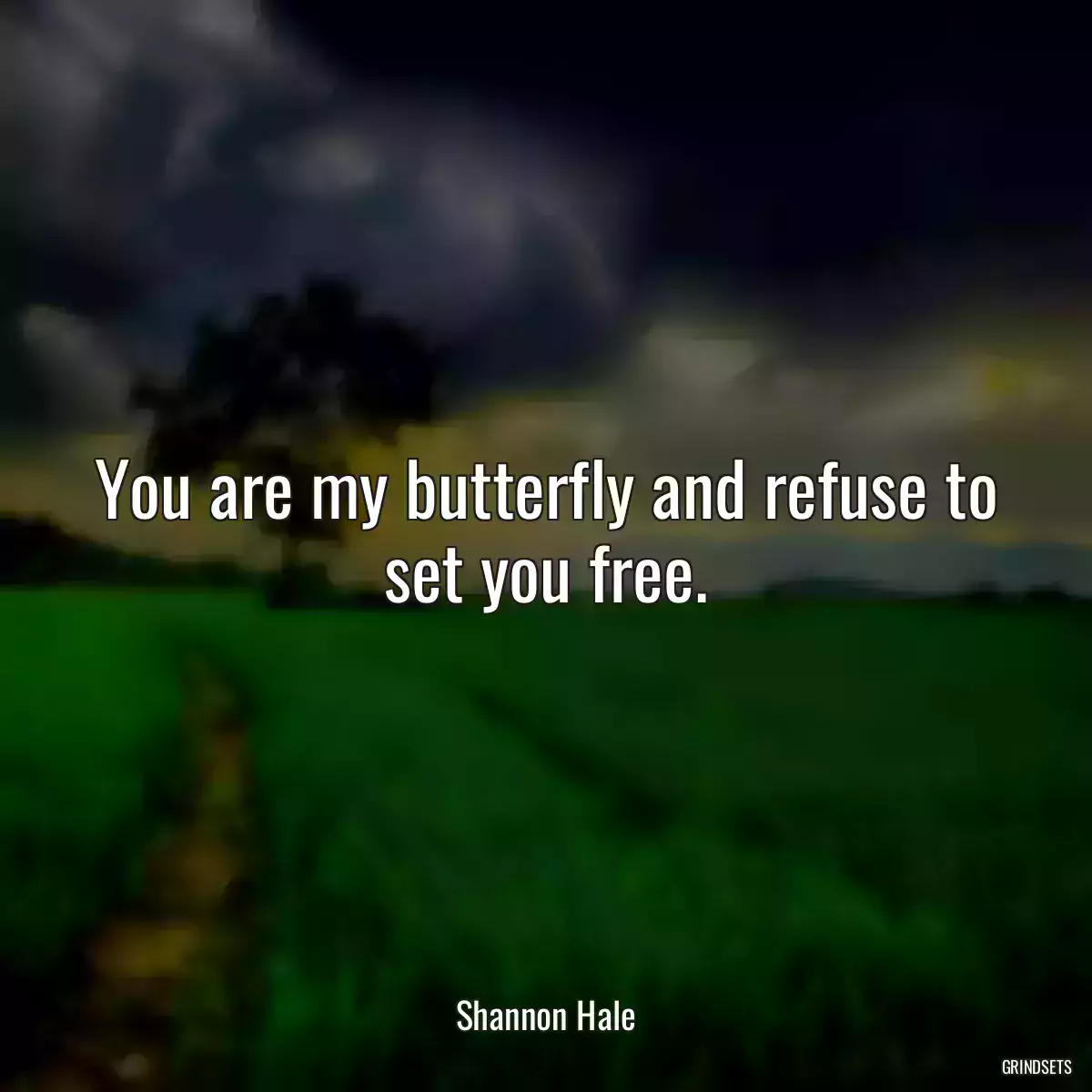 You are my butterfly and refuse to set you free.