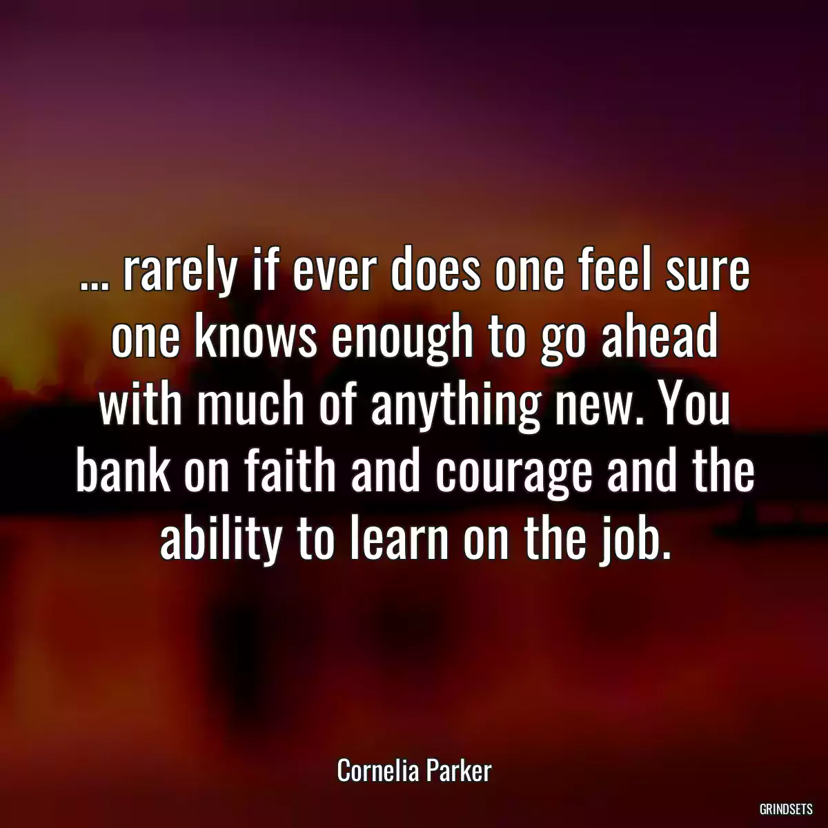 ... rarely if ever does one feel sure one knows enough to go ahead with much of anything new. You bank on faith and courage and the ability to learn on the job.