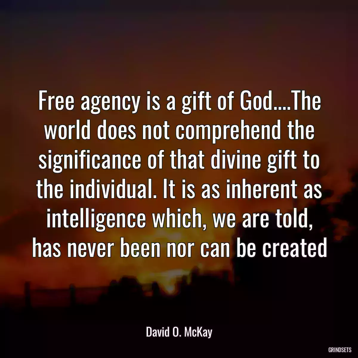 Free agency is a gift of God....The world does not comprehend the significance of that divine gift to the individual. It is as inherent as intelligence which, we are told, has never been nor can be created