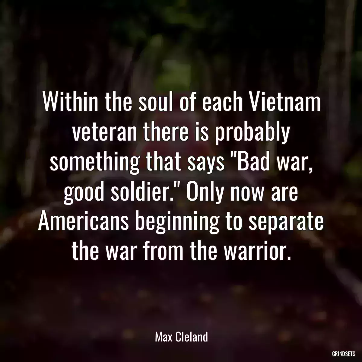 Within the soul of each Vietnam veteran there is probably something that says \