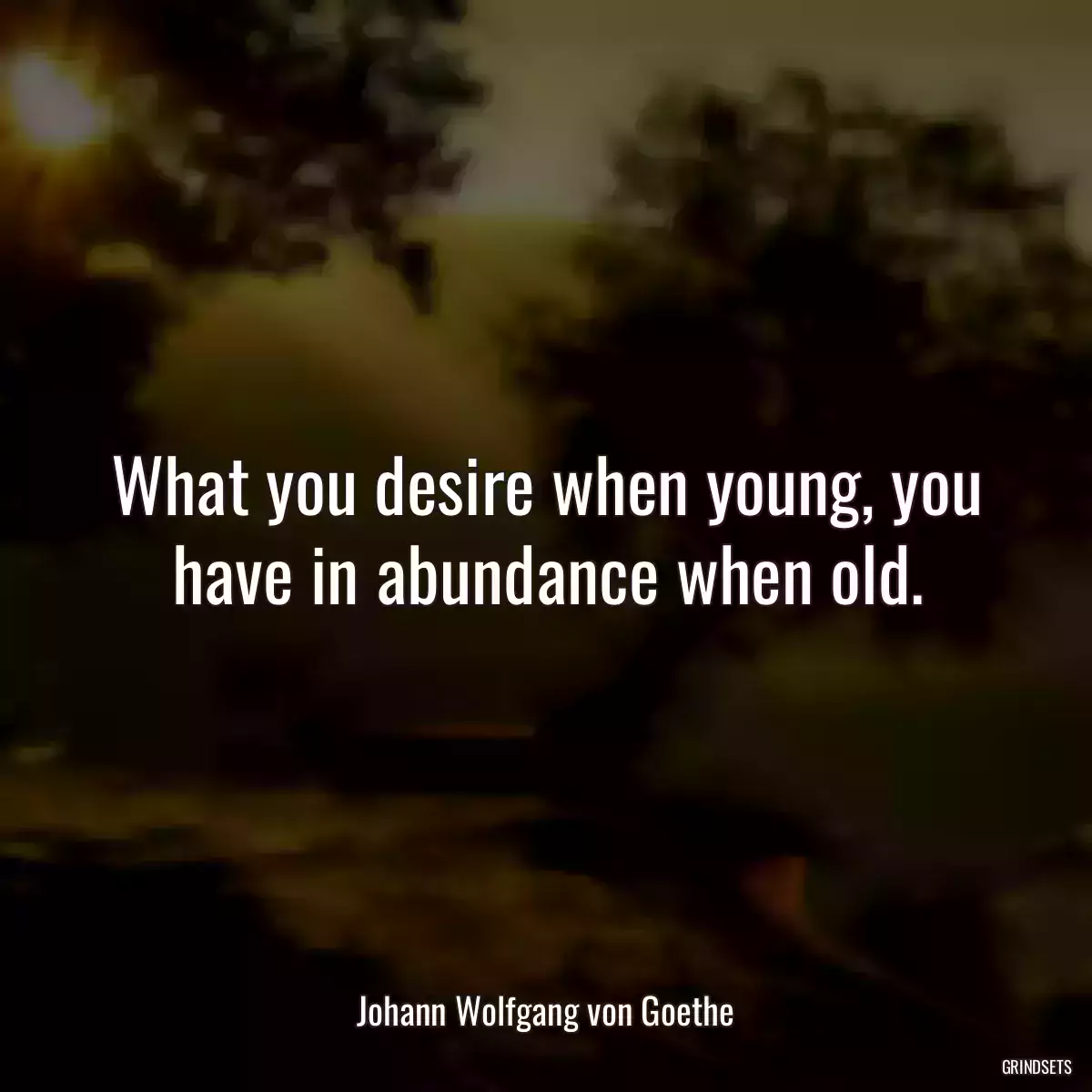 What you desire when young, you have in abundance when old.