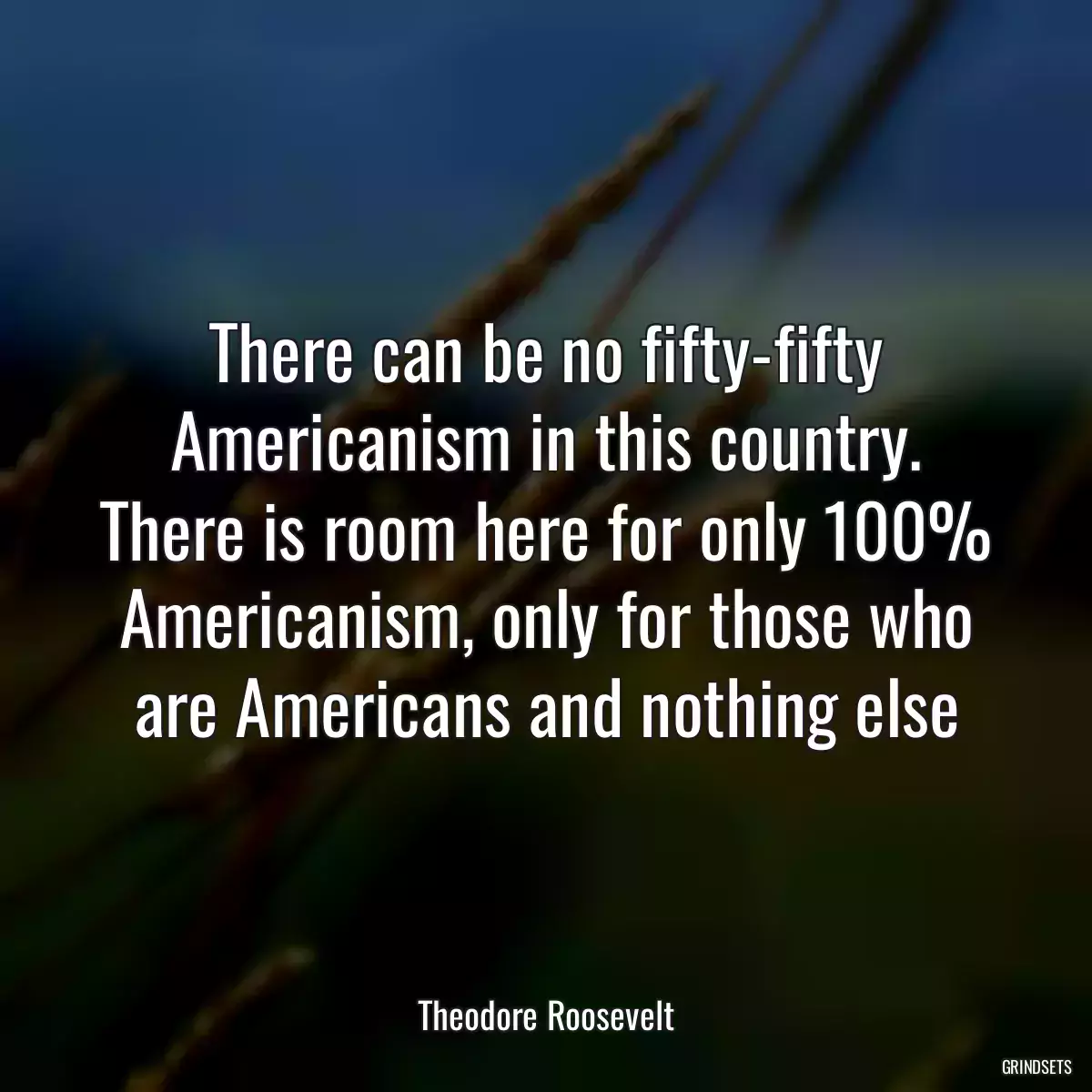 There can be no fifty-fifty Americanism in this country. There is room here for only 100% Americanism, only for those who are Americans and nothing else