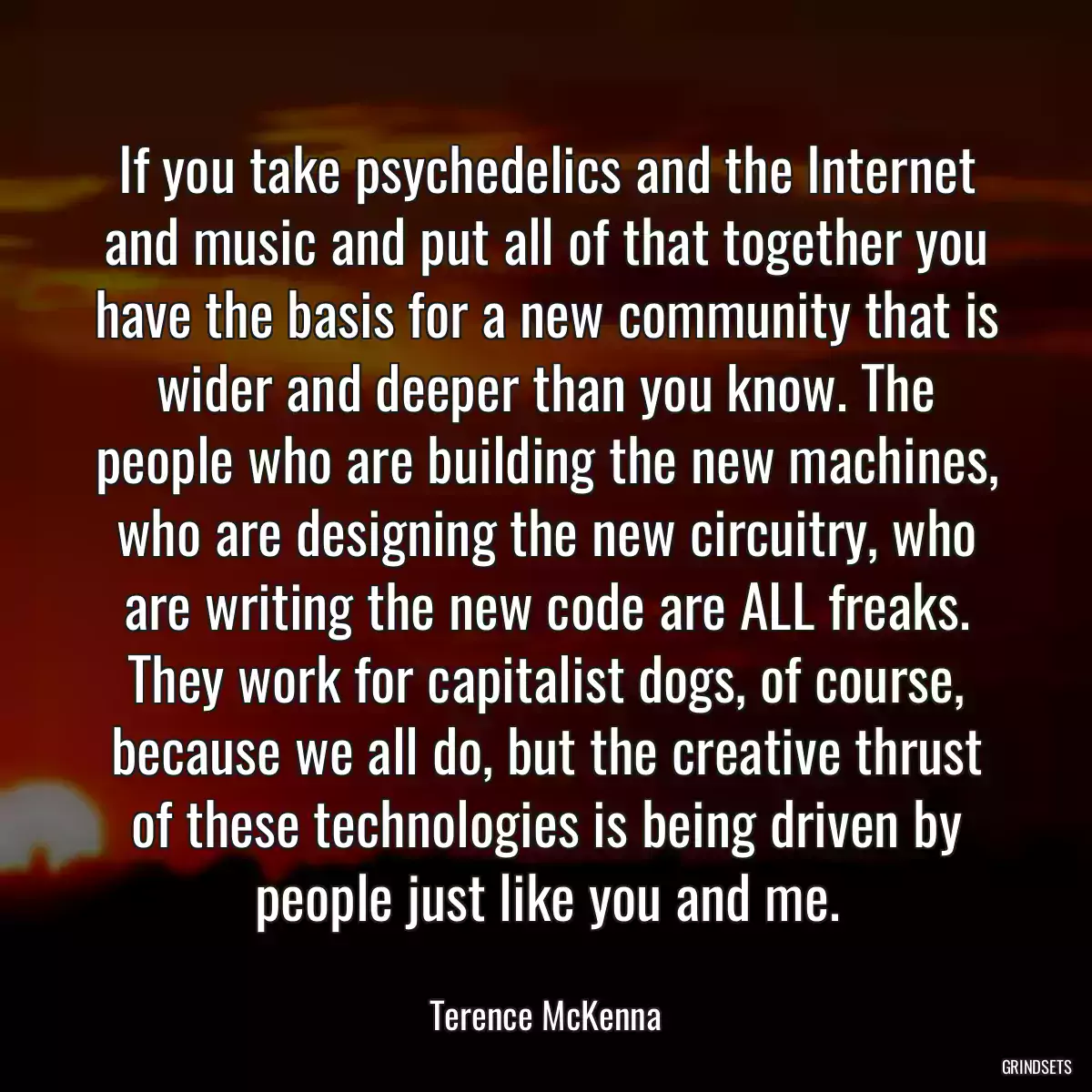 If you take psychedelics and the Internet and music and put all of that together you have the basis for a new community that is wider and deeper than you know. The people who are building the new machines, who are designing the new circuitry, who are writing the new code are ALL freaks. They work for capitalist dogs, of course, because we all do, but the creative thrust of these technologies is being driven by people just like you and me.