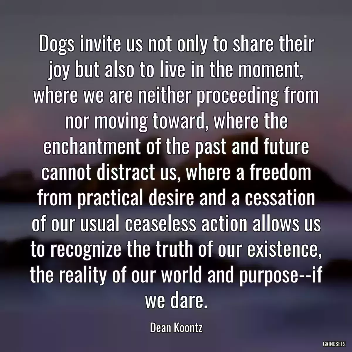 Dogs invite us not only to share their joy but also to live in the moment, where we are neither proceeding from nor moving toward, where the enchantment of the past and future cannot distract us, where a freedom from practical desire and a cessation of our usual ceaseless action allows us to recognize the truth of our existence, the reality of our world and purpose--if we dare.