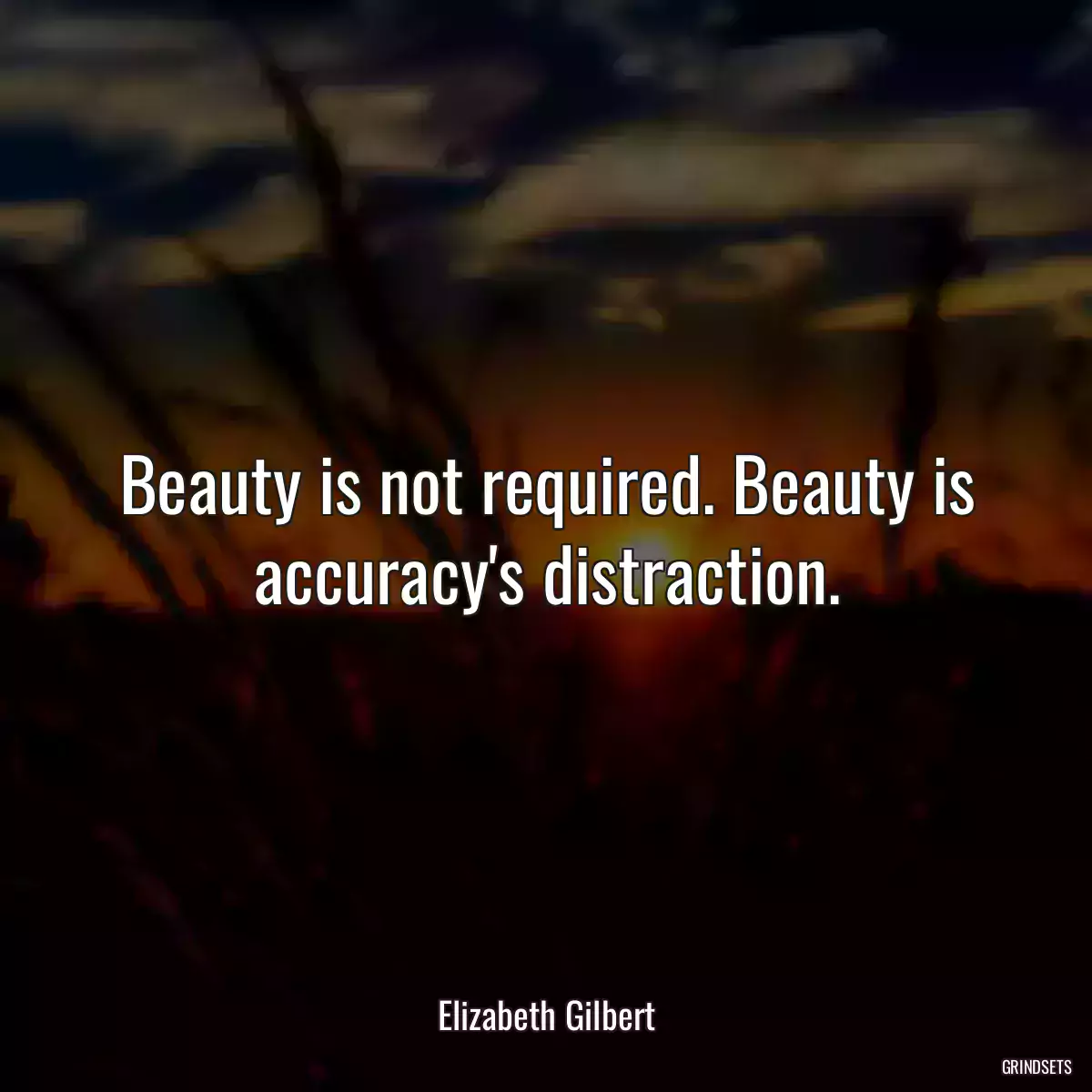 Beauty is not required. Beauty is accuracy\'s distraction.