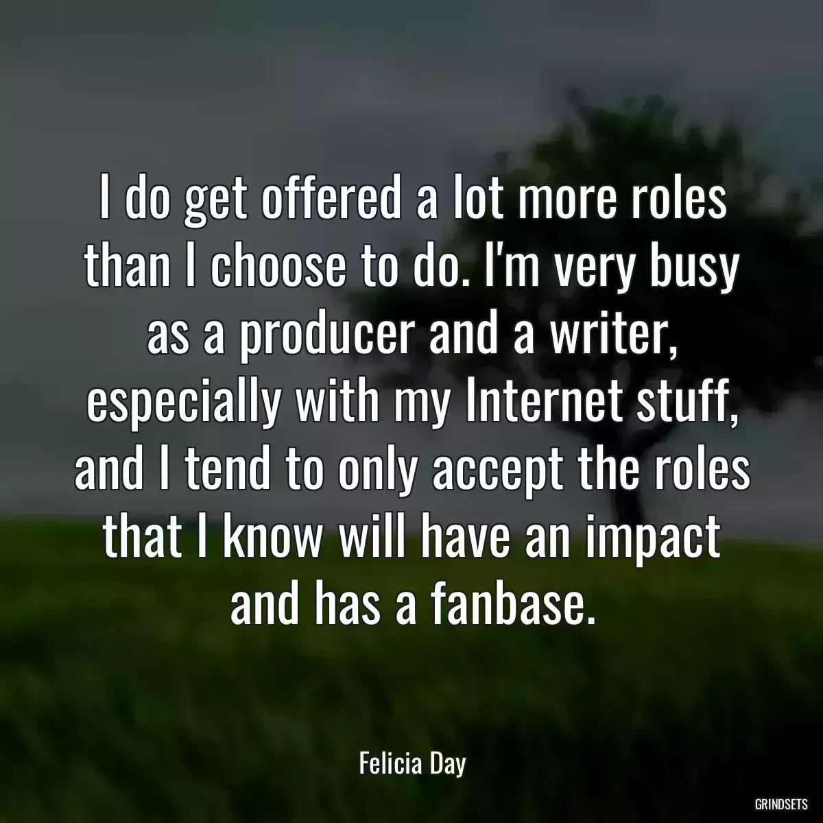 I do get offered a lot more roles than I choose to do. I\'m very busy as a producer and a writer, especially with my Internet stuff, and I tend to only accept the roles that I know will have an impact and has a fanbase.