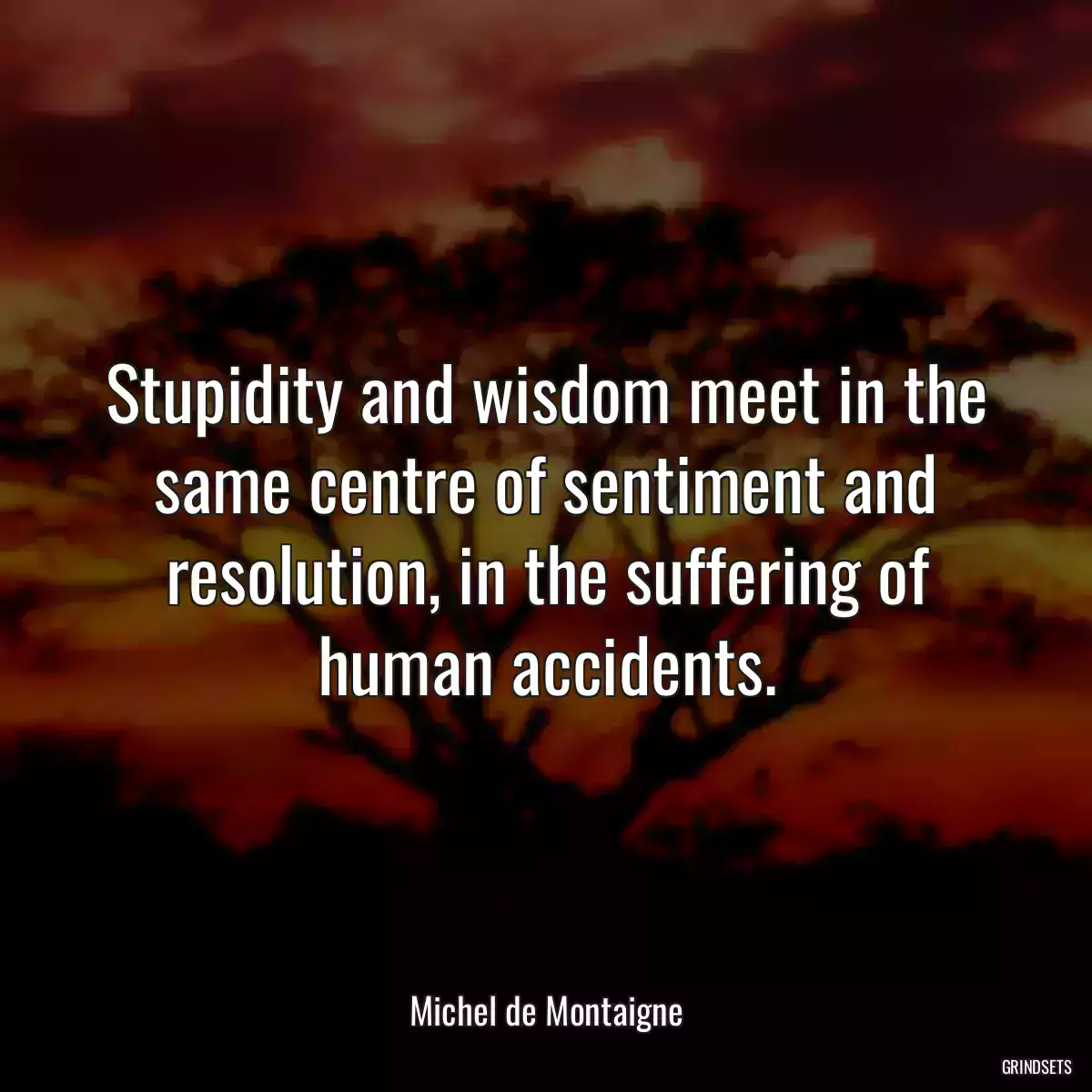 Stupidity and wisdom meet in the same centre of sentiment and resolution, in the suffering of human accidents.