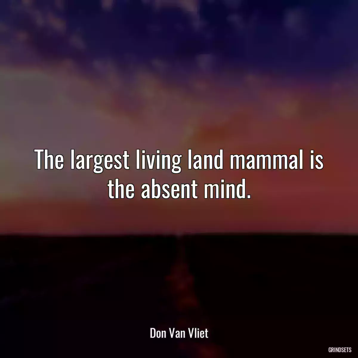 The largest living land mammal is the absent mind.