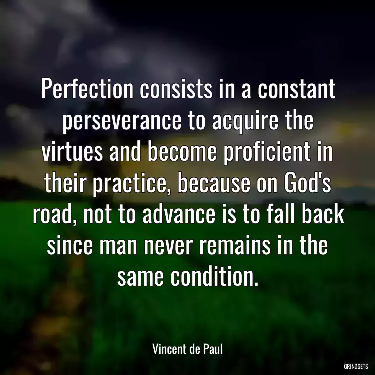 Perfection consists in a constant perseverance to acquire the virtues and become proficient in their practice, because on God\'s road, not to advance is to fall back since man never remains in the same condition.