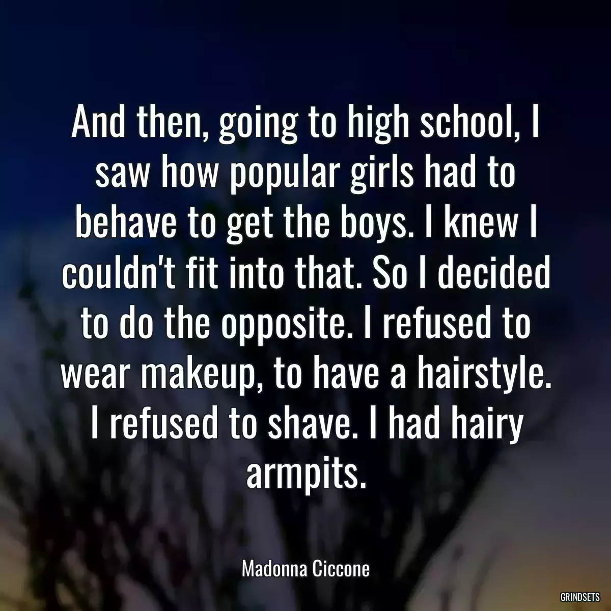 And then, going to high school, I saw how popular girls had to behave to get the boys. I knew I couldn\'t fit into that. So I decided to do the opposite. I refused to wear makeup, to have a hairstyle. I refused to shave. I had hairy armpits.