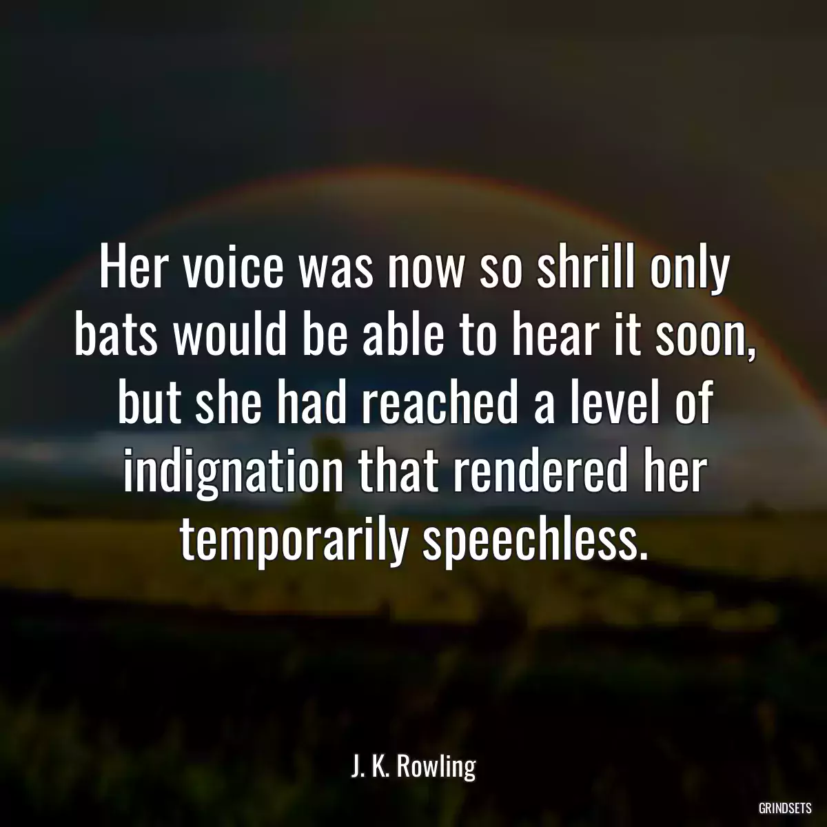 Her voice was now so shrill only bats would be able to hear it soon, but she had reached a level of indignation that rendered her temporarily speechless.