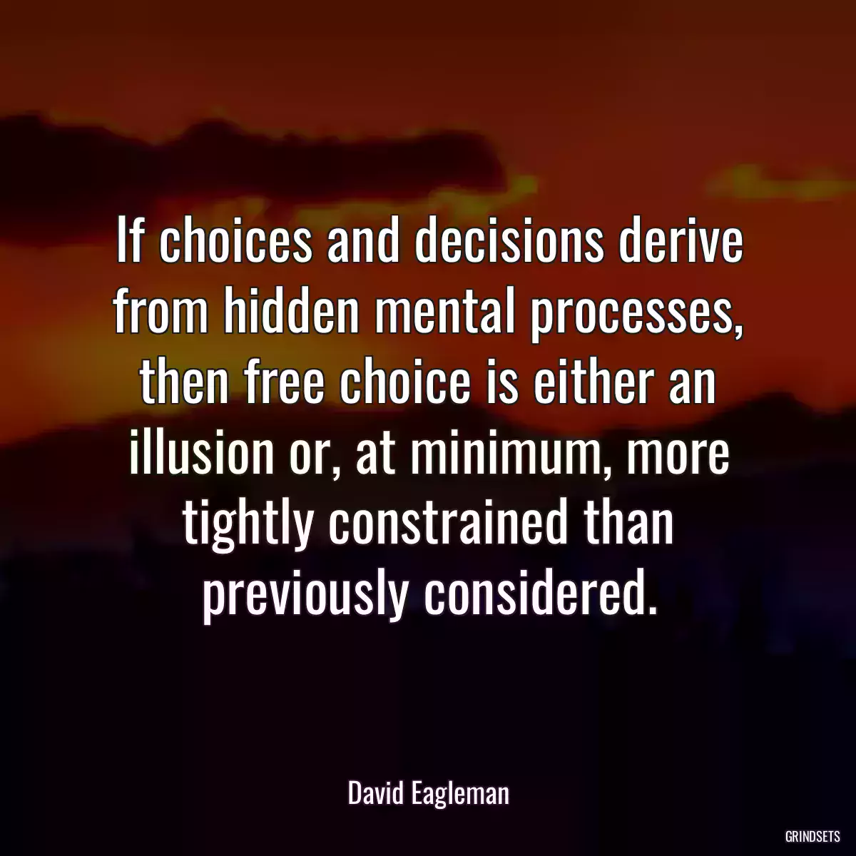 If choices and decisions derive from hidden mental processes, then free choice is either an illusion or, at minimum, more tightly constrained than previously considered.