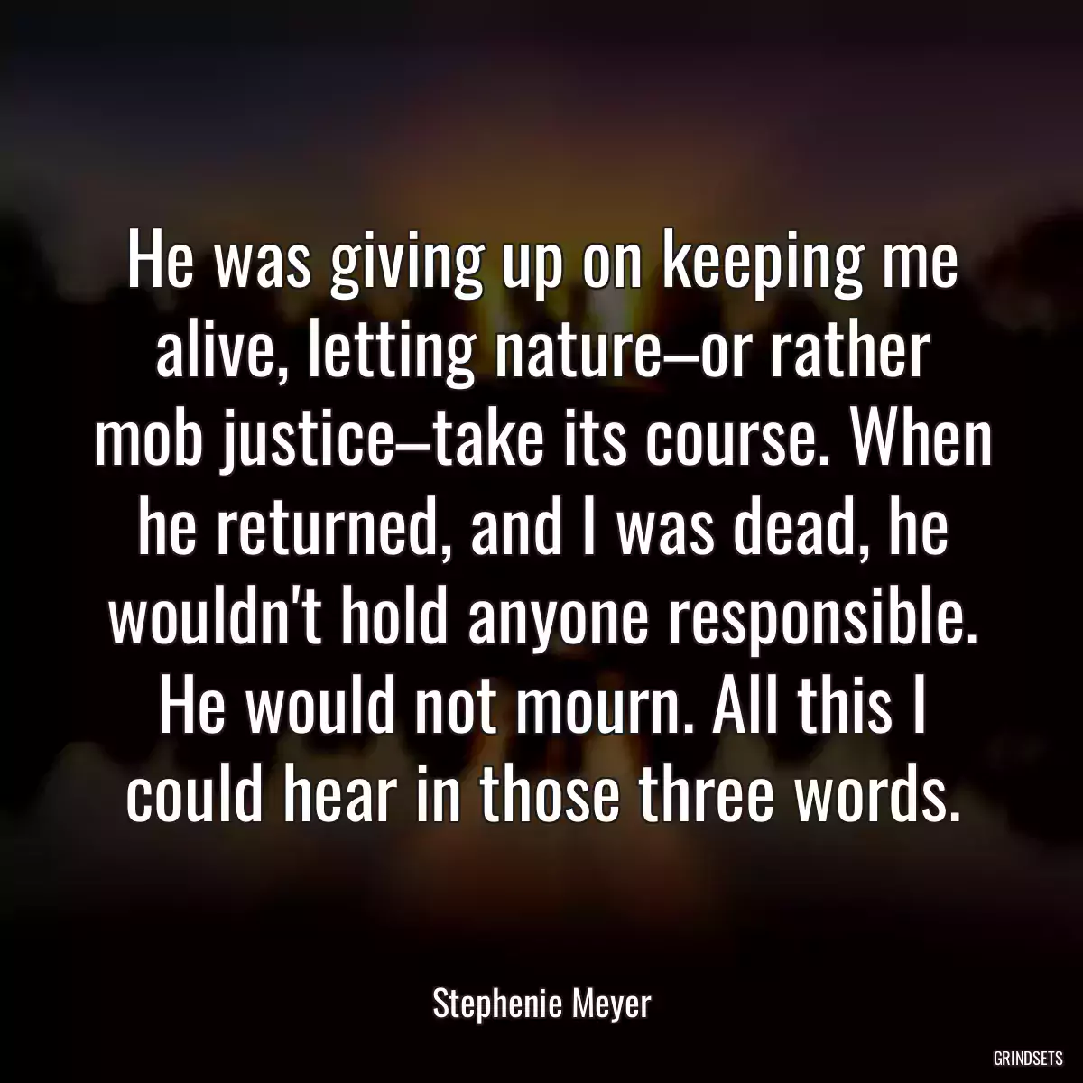 He was giving up on keeping me alive, letting nature–or rather mob justice–take its course. When he returned, and I was dead, he wouldn\'t hold anyone responsible. He would not mourn. All this I could hear in those three words.