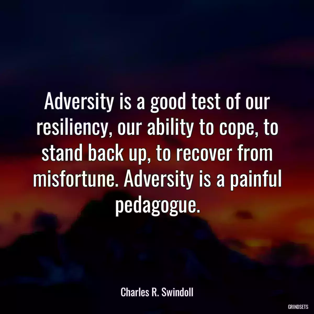 Adversity is a good test of our resiliency, our ability to cope, to stand back up, to recover from misfortune. Adversity is a painful pedagogue.