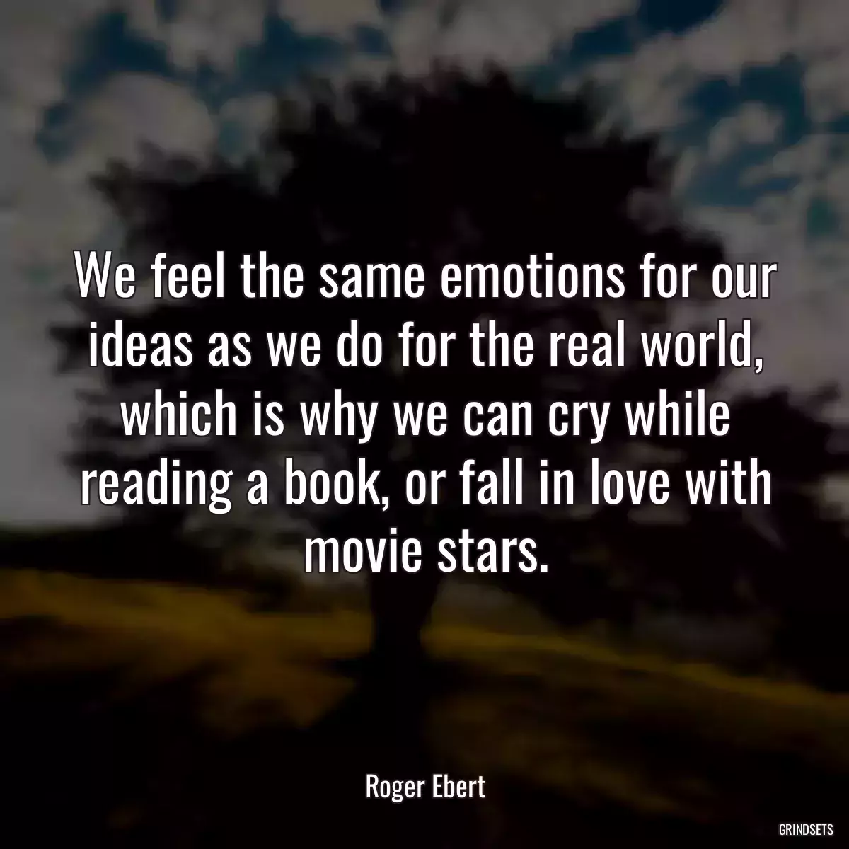 We feel the same emotions for our ideas as we do for the real world, which is why we can cry while reading a book, or fall in love with movie stars.