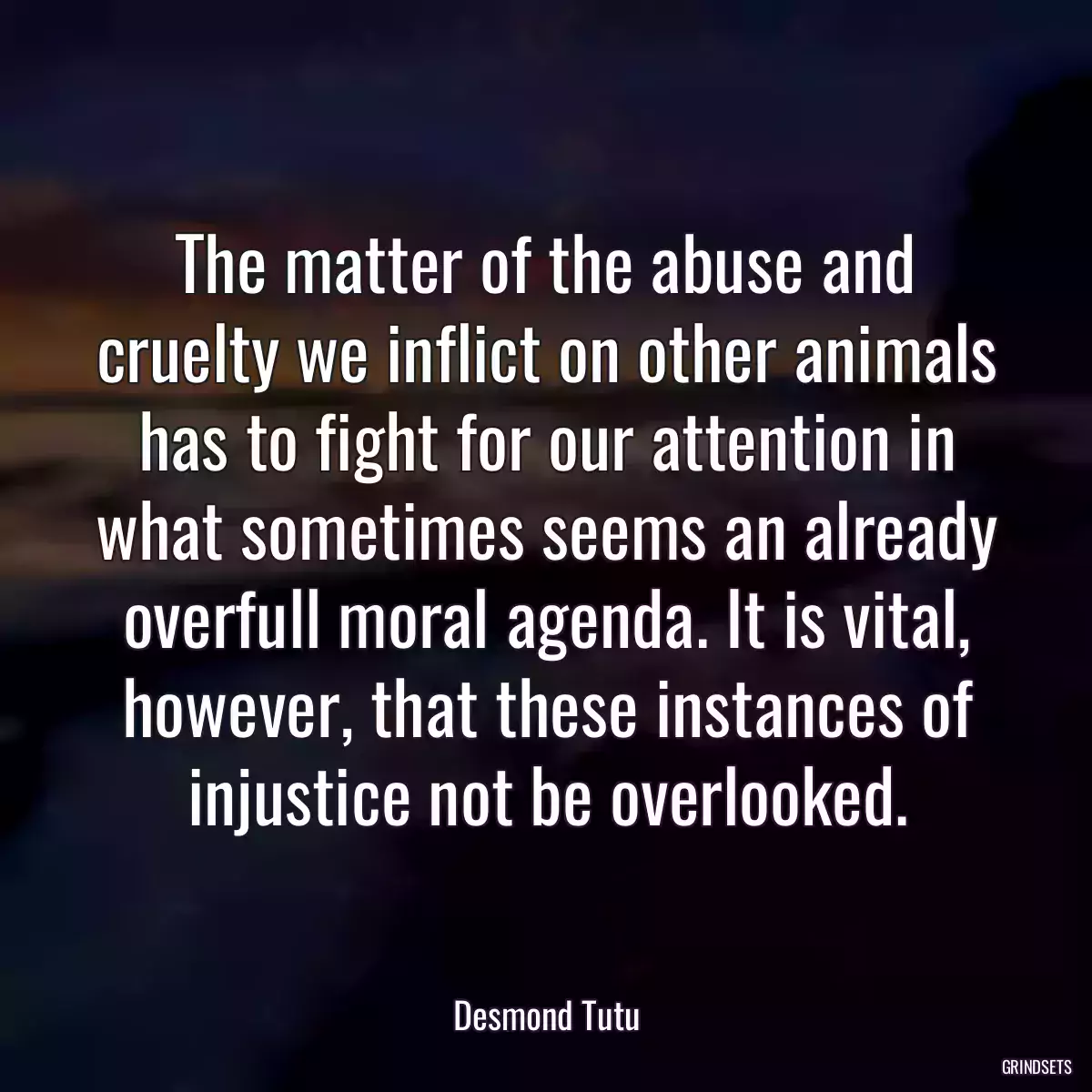 The matter of the abuse and cruelty we inflict on other animals has to fight for our attention in what sometimes seems an already overfull moral agenda. It is vital, however, that these instances of injustice not be overlooked.