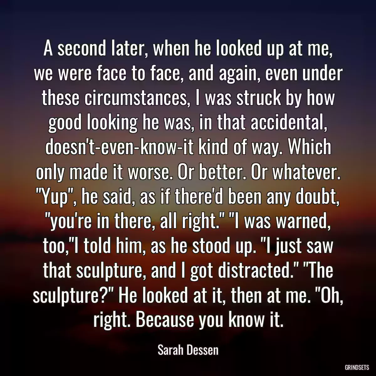 A second later, when he looked up at me, we were face to face, and again, even under these circumstances, I was struck by how good looking he was, in that accidental, doesn\'t-even-know-it kind of way. Which only made it worse. Or better. Or whatever. \