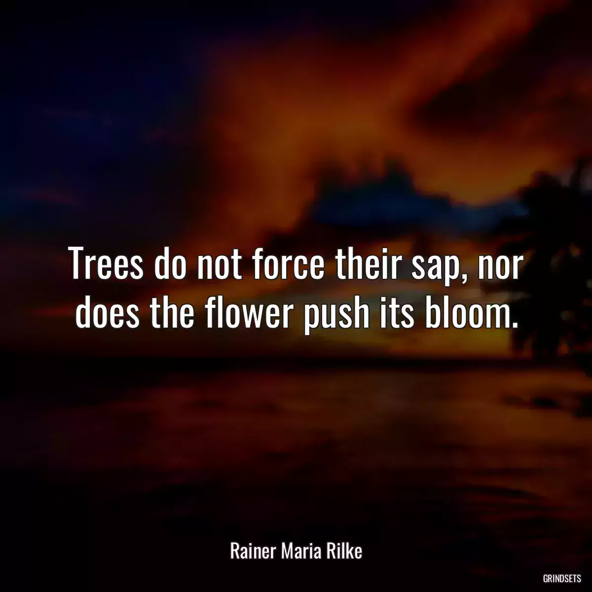 Trees do not force their sap, nor does the flower push its bloom.