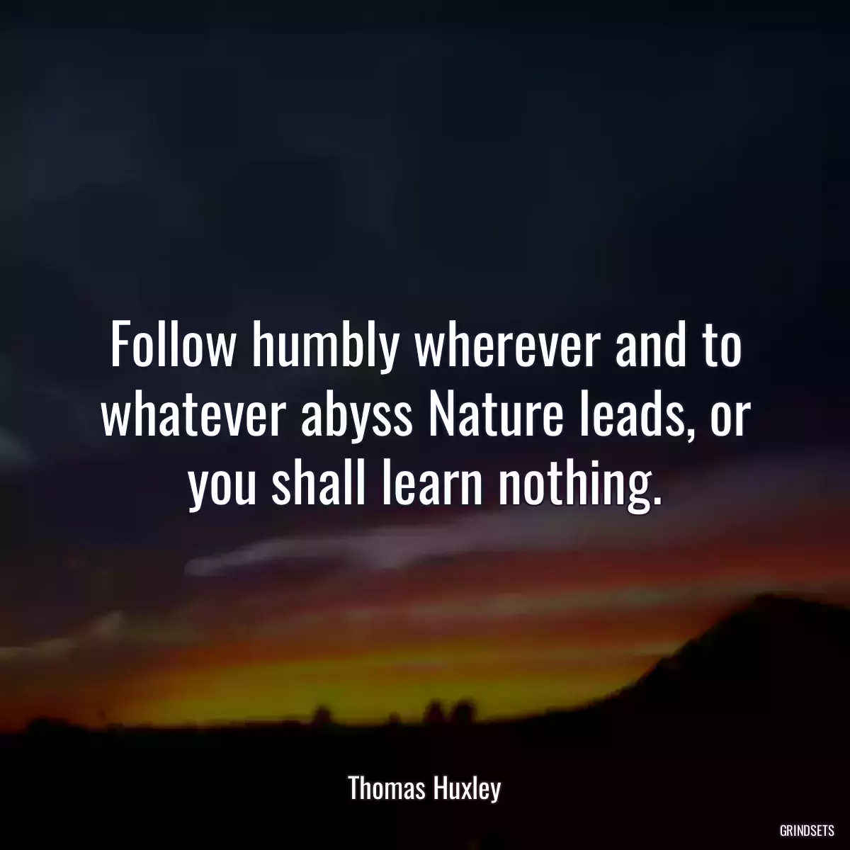 Follow humbly wherever and to whatever abyss Nature leads, or you shall learn nothing.