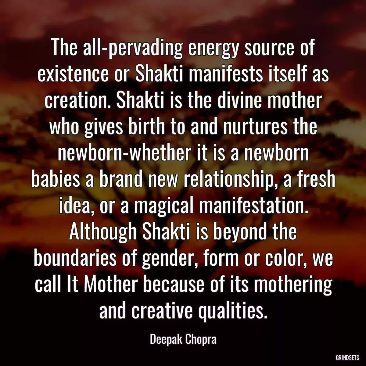 The all-pervading energy source of existence or Shakti manifests itself as creation. Shakti is the divine mother who gives birth to and nurtures the newborn-whether it is a newborn babies a brand new relationship, a fresh idea, or a magical manifestation. Although Shakti is beyond the boundaries of gender, form or color, we call It Mother because of its mothering and creative qualities.