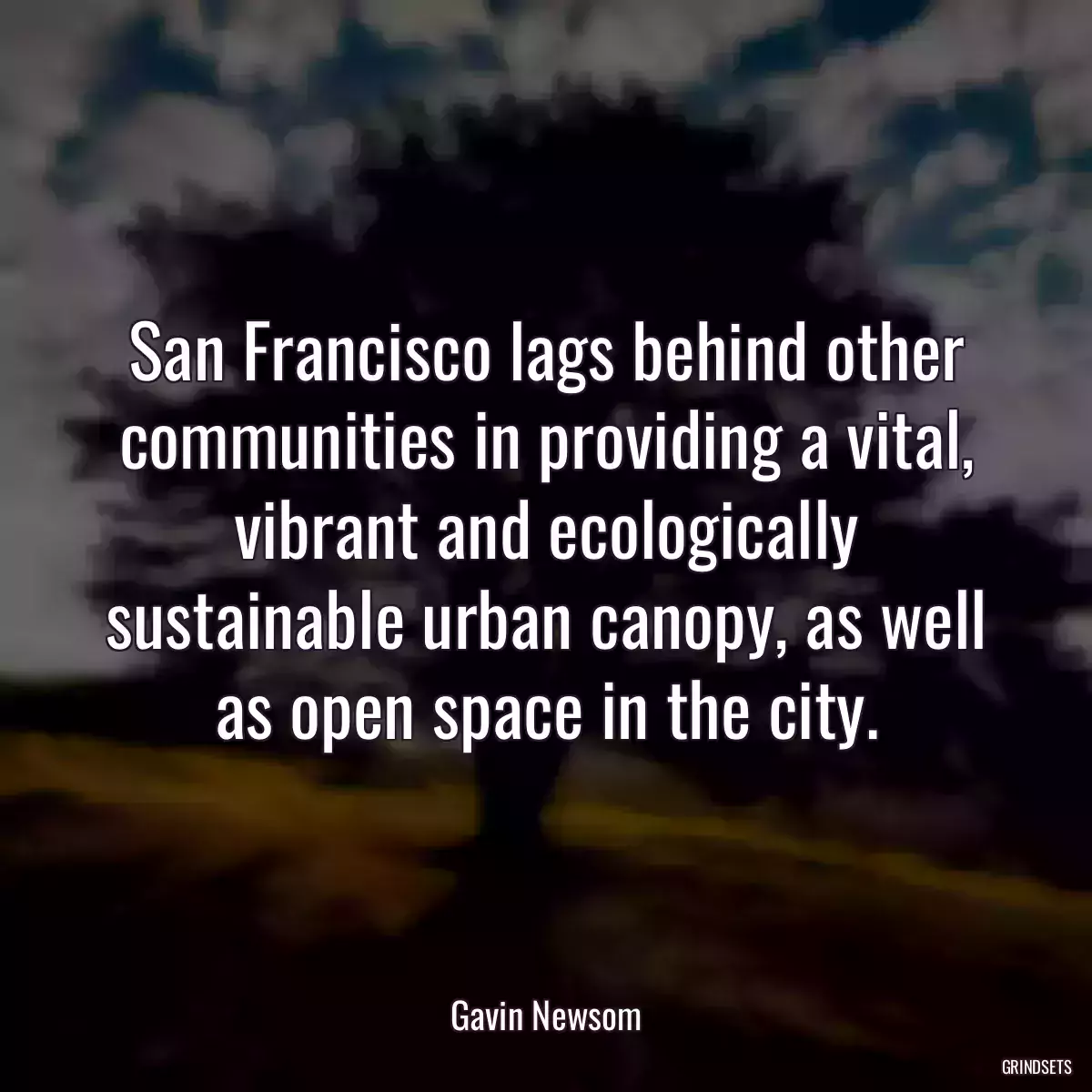 San Francisco lags behind other communities in providing a vital, vibrant and ecologically sustainable urban canopy, as well as open space in the city.