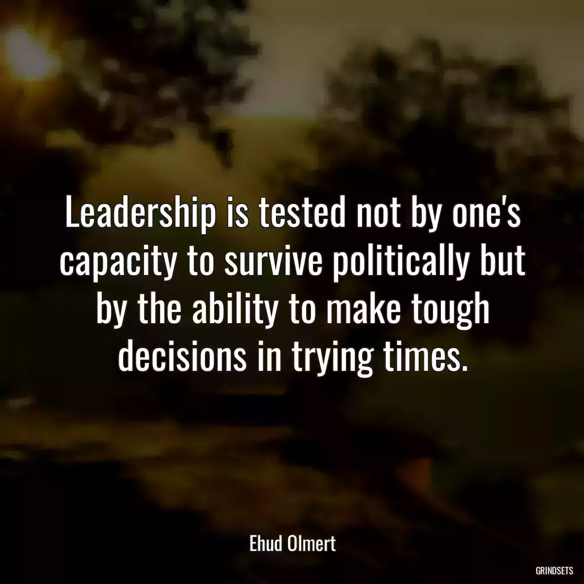 Leadership is tested not by one\'s capacity to survive politically but by the ability to make tough decisions in trying times.