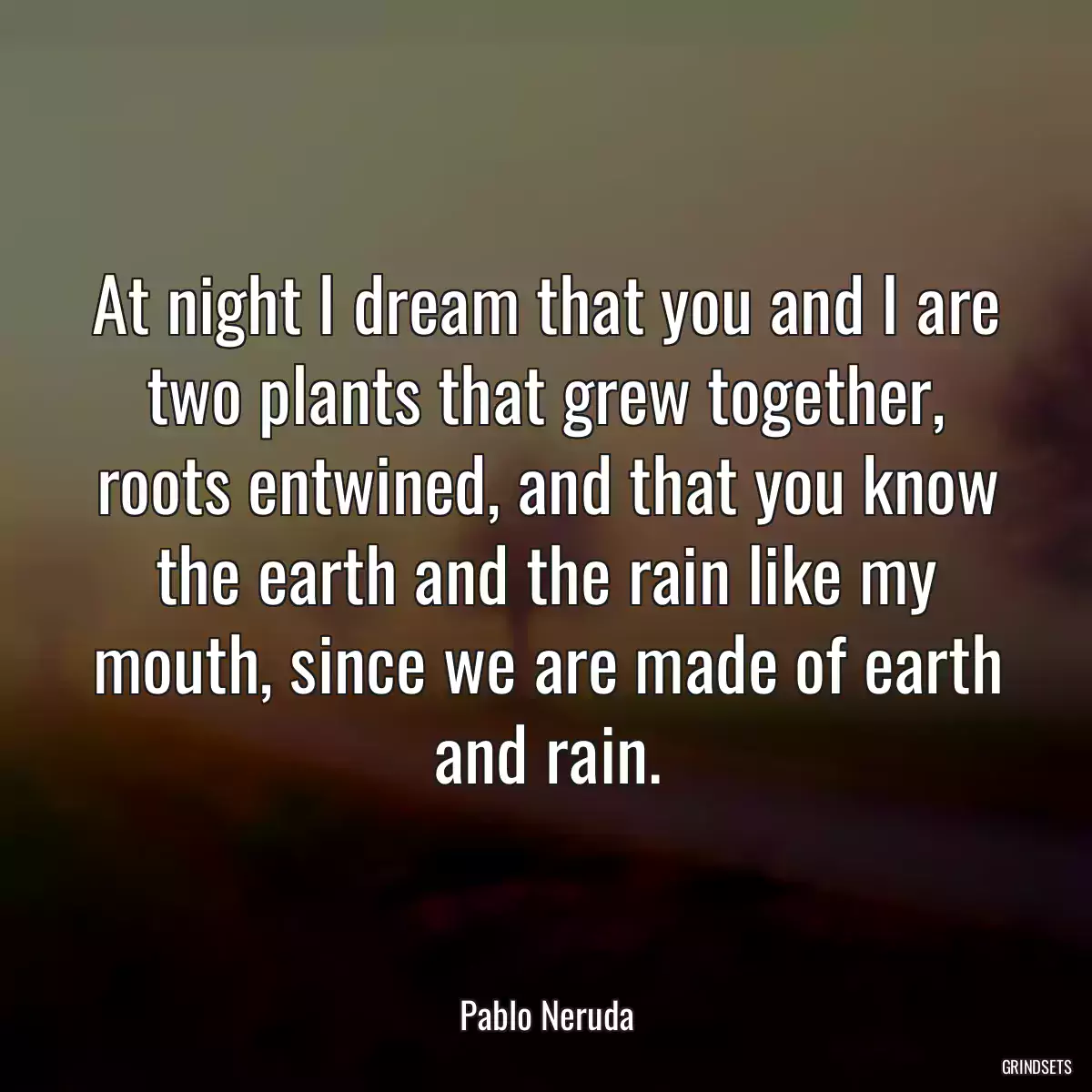 At night I dream that you and I are two plants that grew together, roots entwined, and that you know the earth and the rain like my mouth, since we are made of earth and rain.