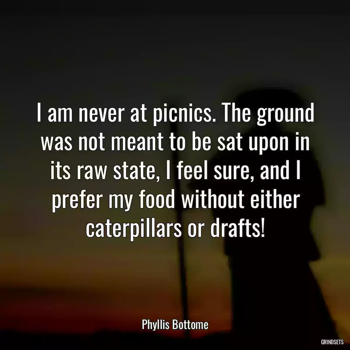 I am never at picnics. The ground was not meant to be sat upon in its raw state, I feel sure, and I prefer my food without either caterpillars or drafts!