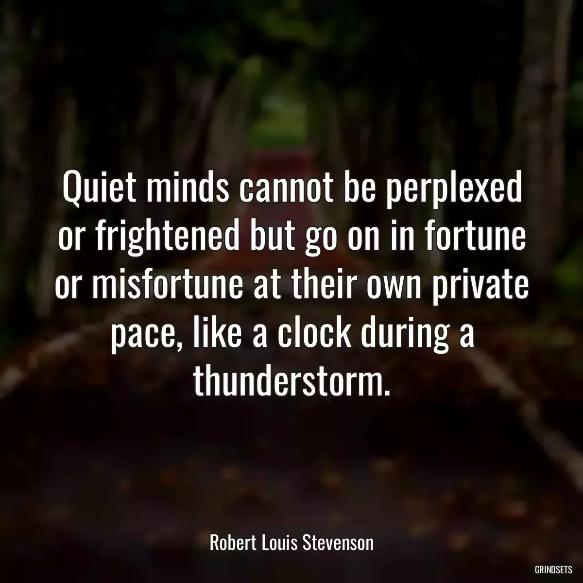 Quiet minds cannot be perplexed or frightened but go on in fortune or misfortune at their own private pace, like a clock during a thunderstorm.