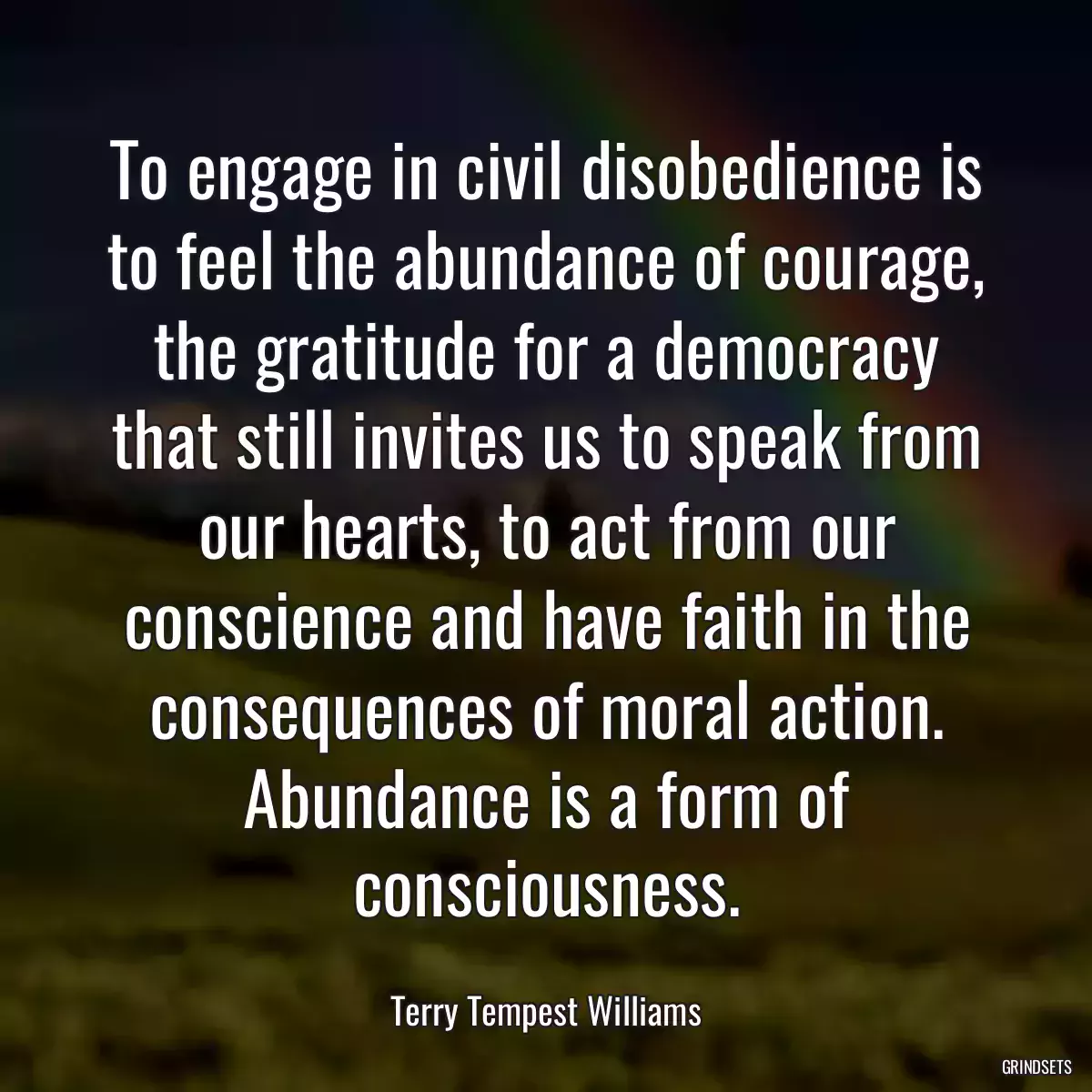 To engage in civil disobedience is to feel the abundance of courage, the gratitude for a democracy that still invites us to speak from our hearts, to act from our conscience and have faith in the consequences of moral action. Abundance is a form of consciousness.