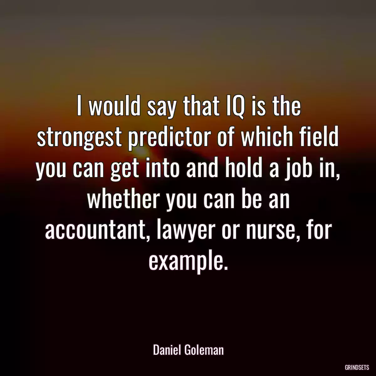 I would say that IQ is the strongest predictor of which field you can get into and hold a job in, whether you can be an accountant, lawyer or nurse, for example.