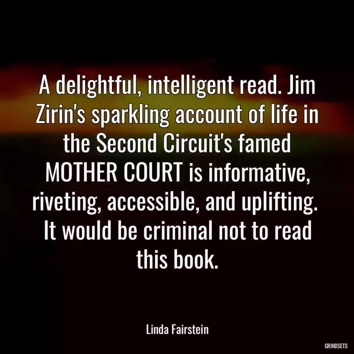 A delightful, intelligent read. Jim Zirin\'s sparkling account of life in the Second Circuit\'s famed MOTHER COURT is informative, riveting, accessible, and uplifting.  It would be criminal not to read this book.