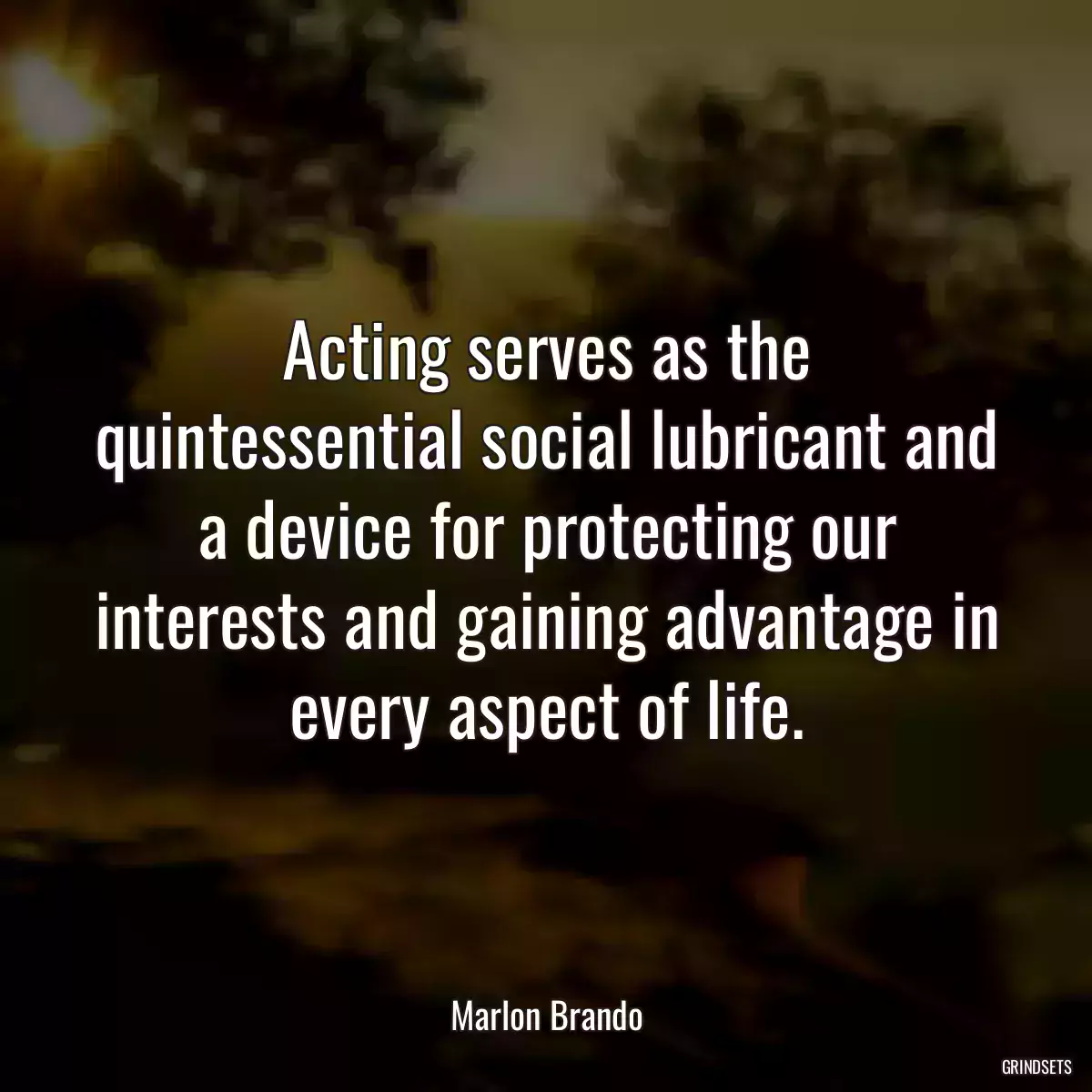 Acting serves as the quintessential social lubricant and a device for protecting our interests and gaining advantage in every aspect of life.