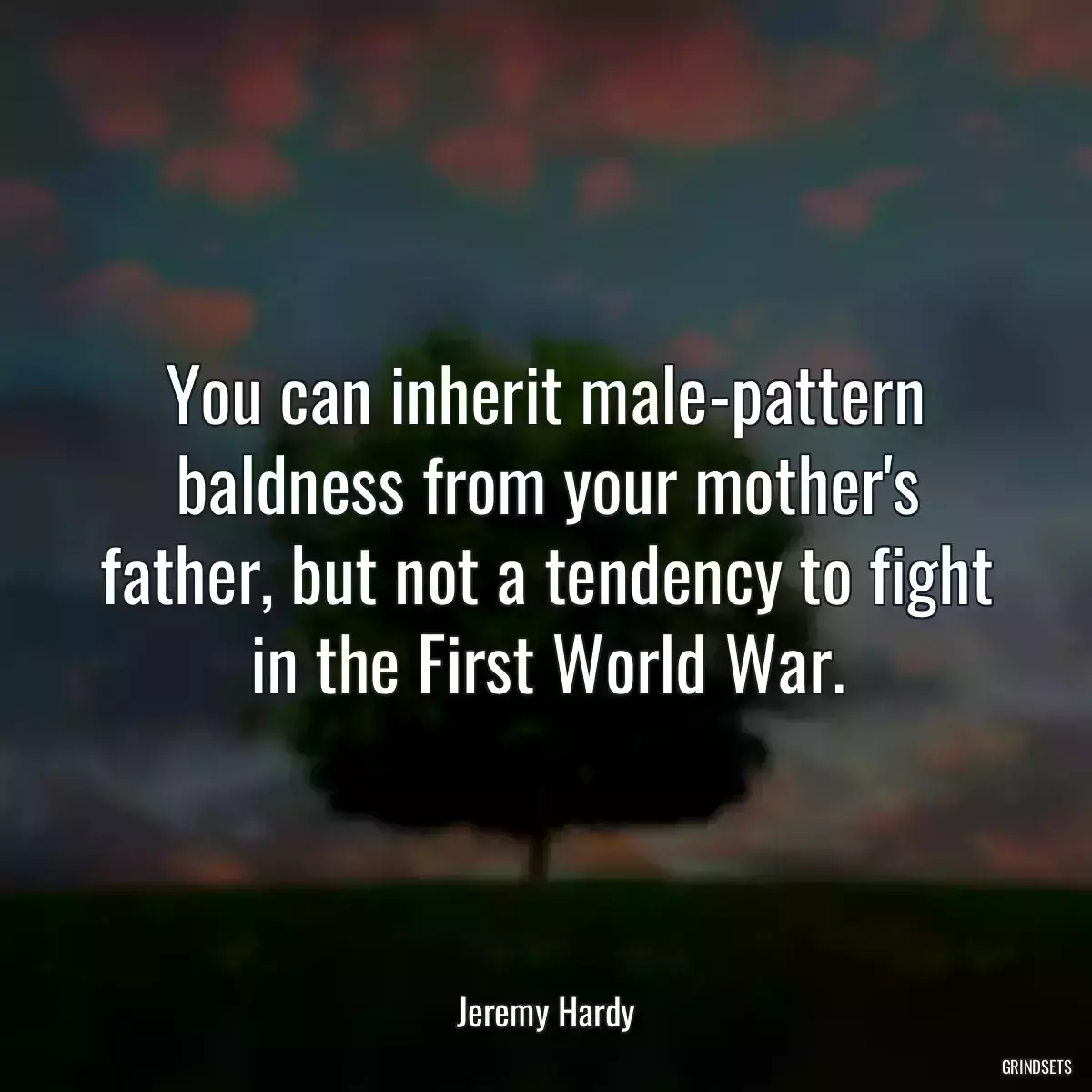 You can inherit male-pattern baldness from your mother\'s father, but not a tendency to fight in the First World War.