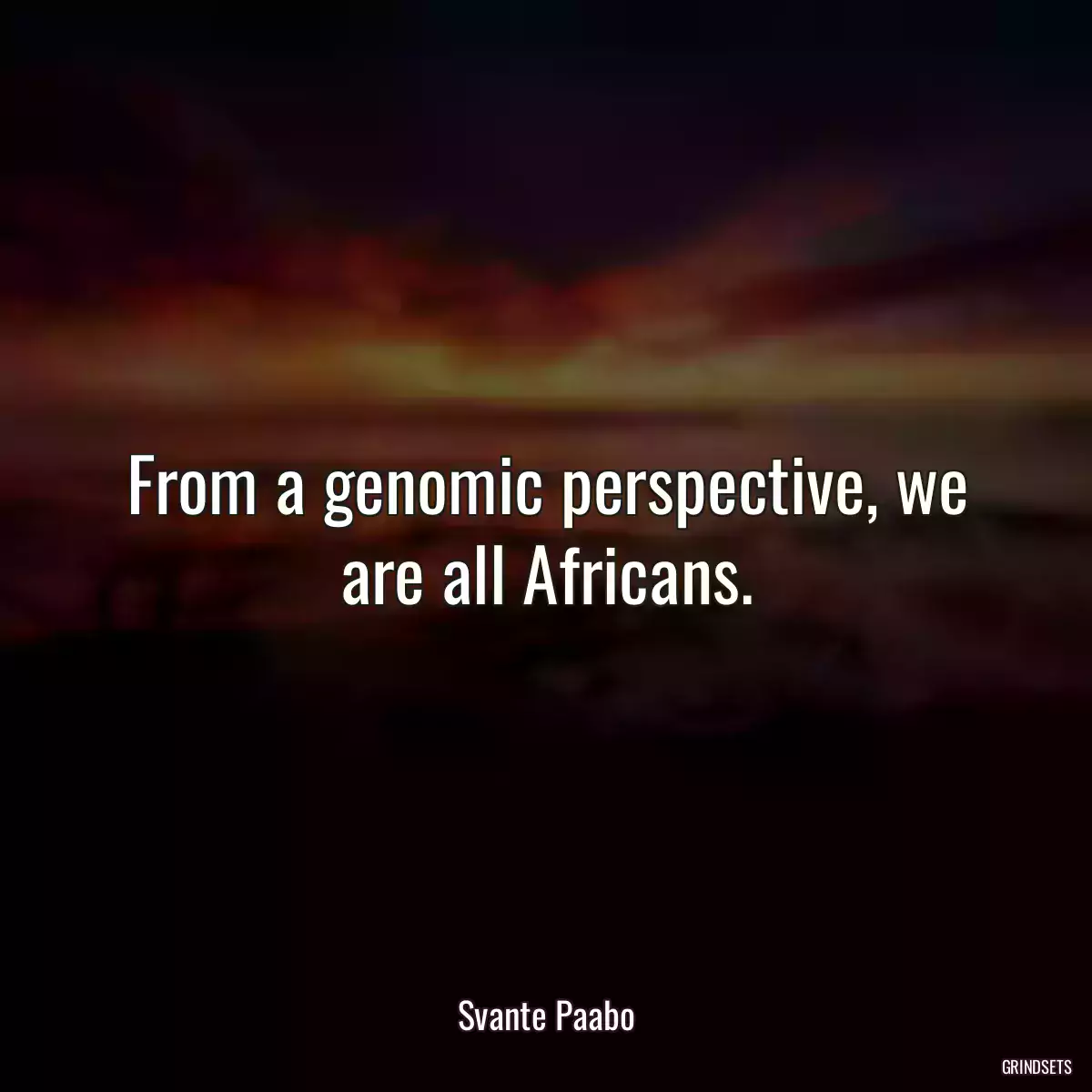 From a genomic perspective, we are all Africans.