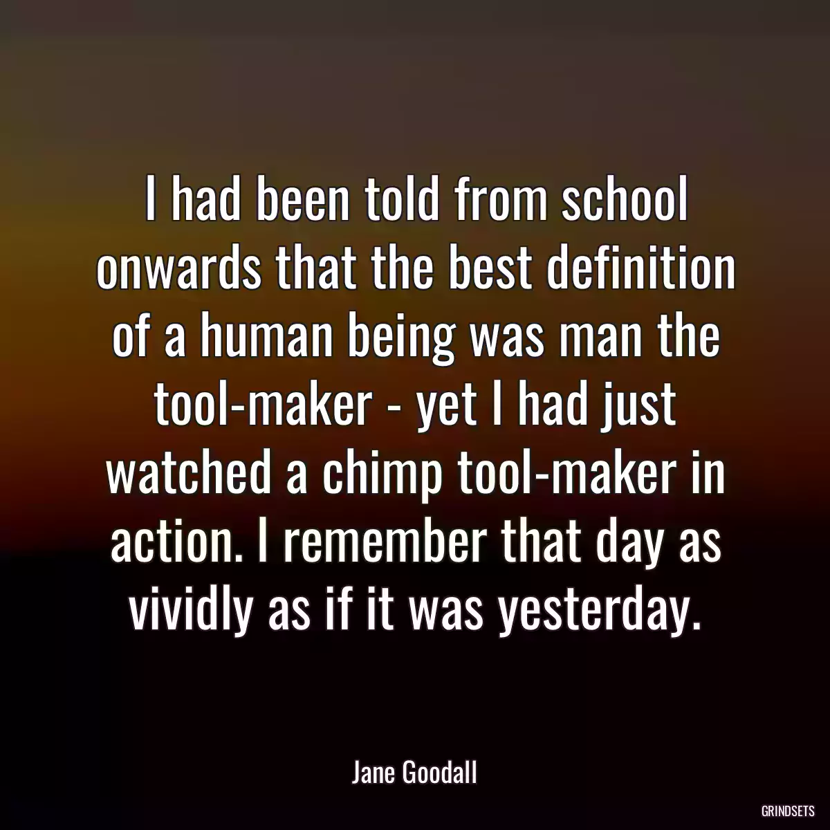 I had been told from school onwards that the best definition of a human being was man the tool-maker - yet I had just watched a chimp tool-maker in action. I remember that day as vividly as if it was yesterday.