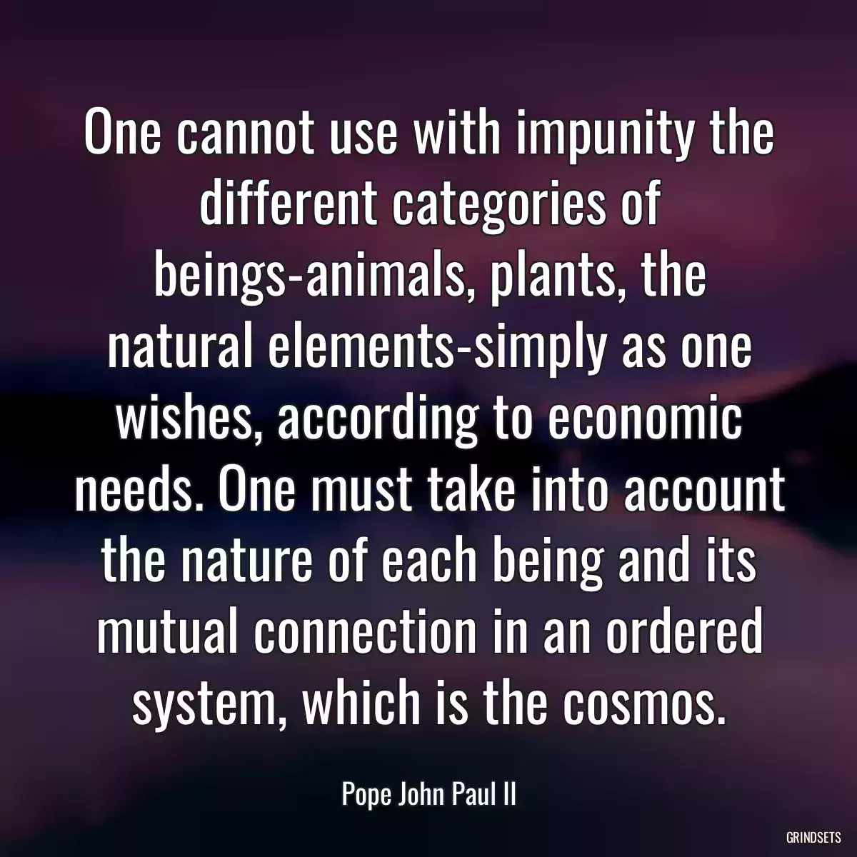 One cannot use with impunity the different categories of beings-animals, plants, the natural elements-simply as one wishes, according to economic needs. One must take into account the nature of each being and its mutual connection in an ordered system, which is the cosmos.